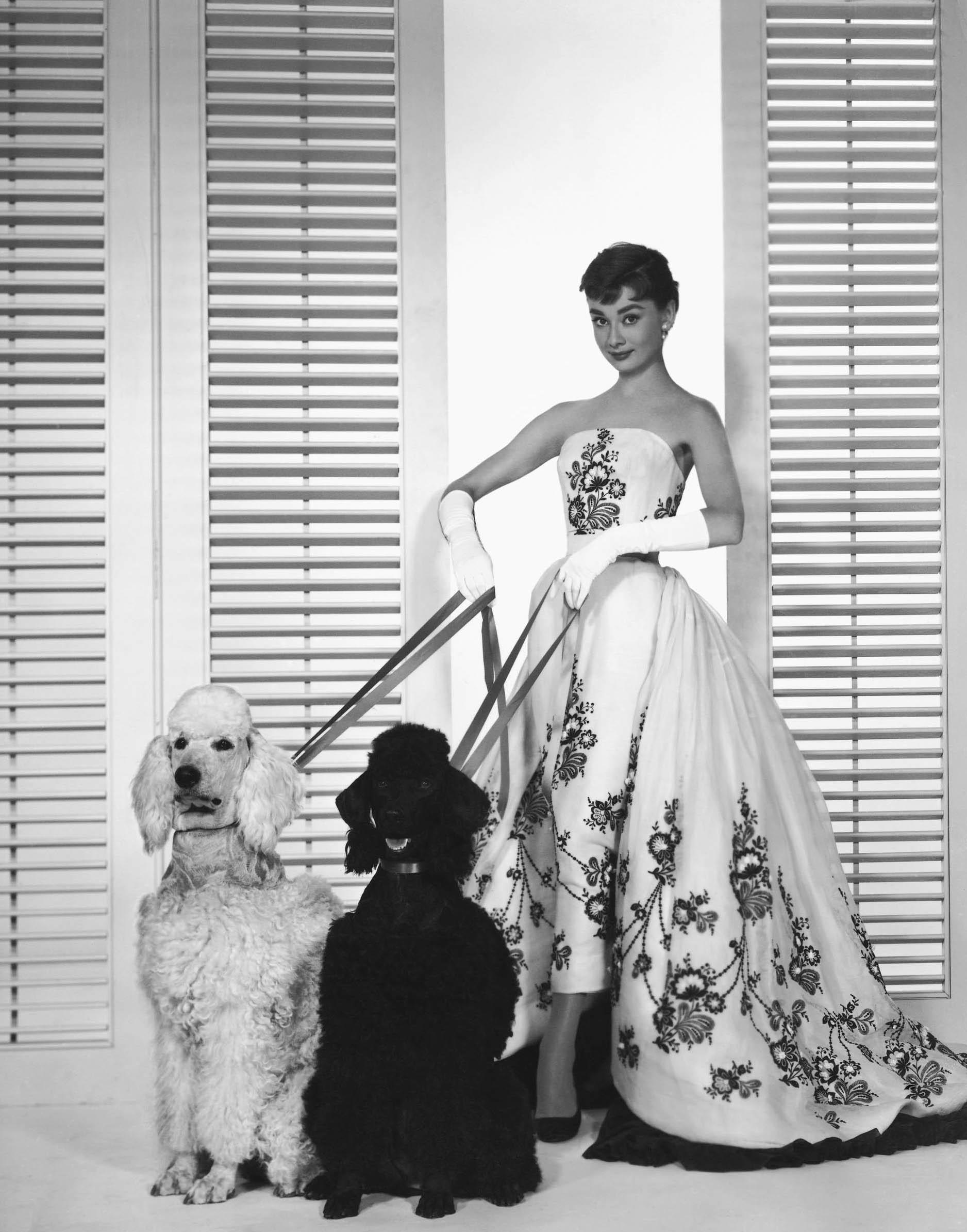 Person in Kleid mit zwei Hunden
