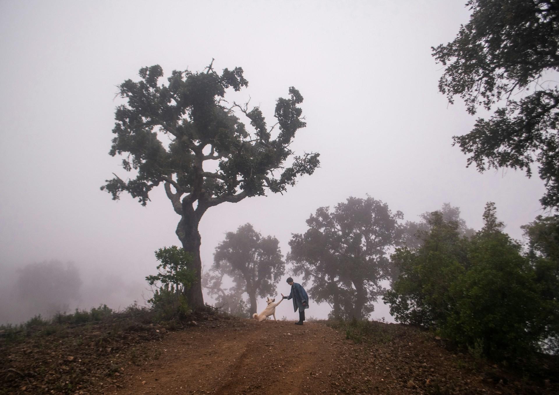 Mann mit Hund auf einem Berg bei Nebel in Portugal