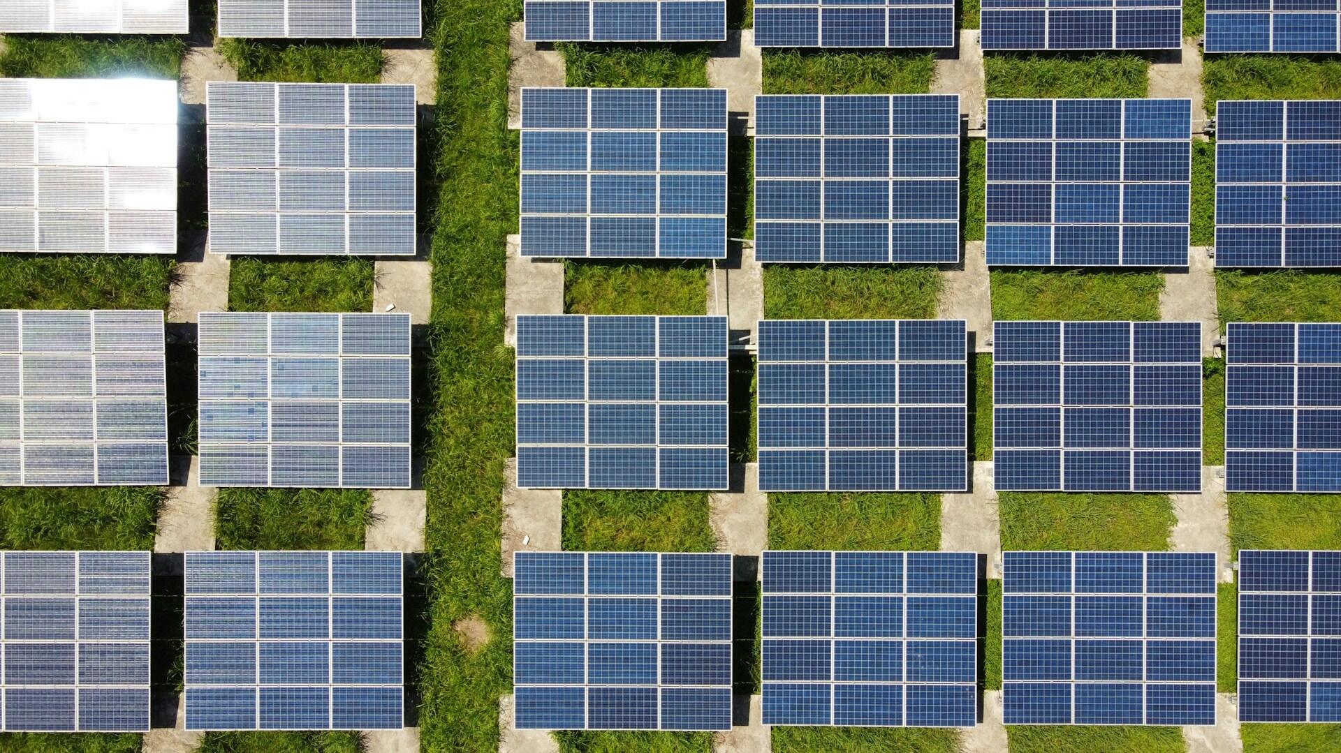 Mehrere Solarpanele von oben fotografiert.