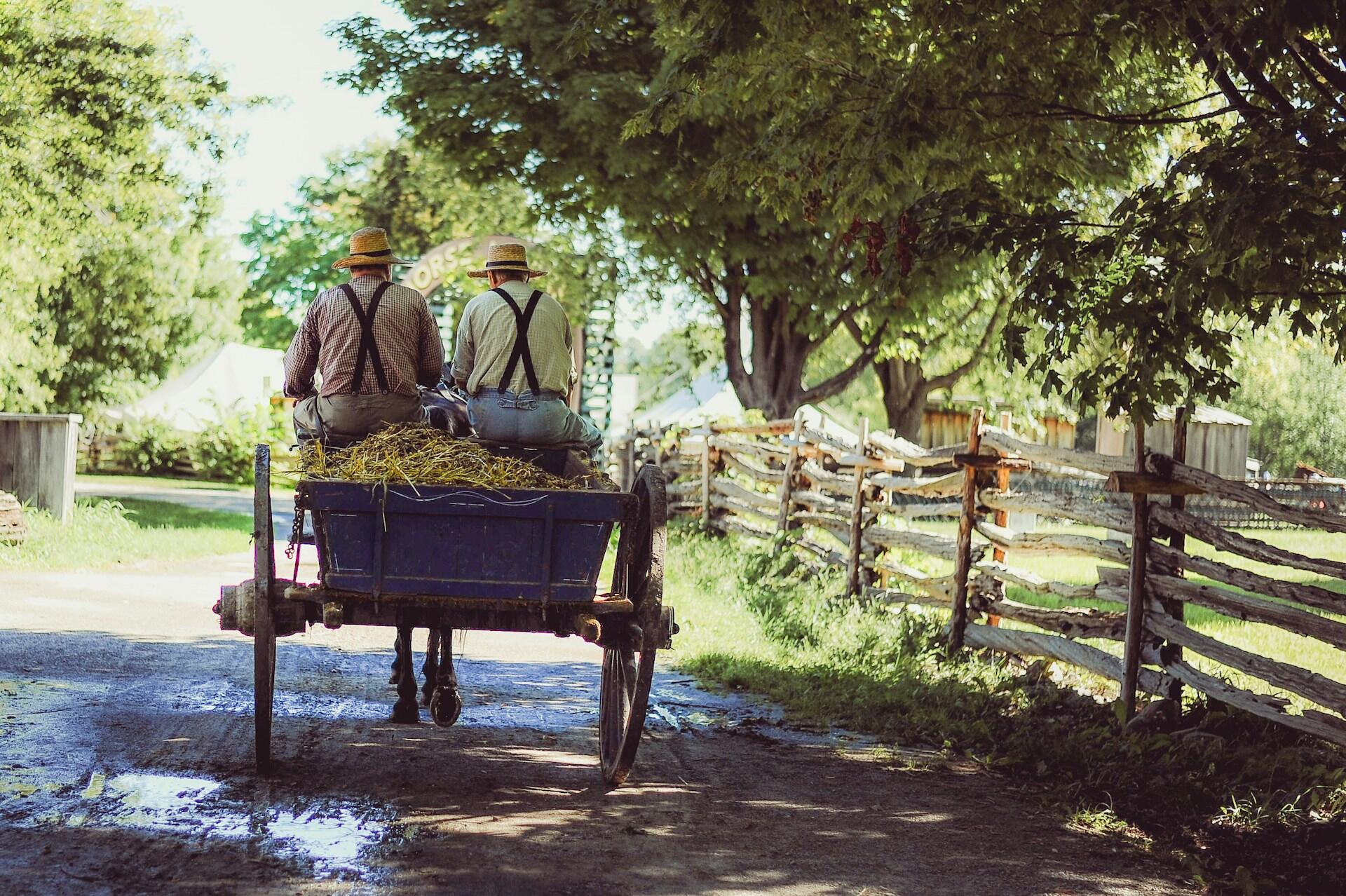 Zwei Bauern in einem Wagen auf dem Feld