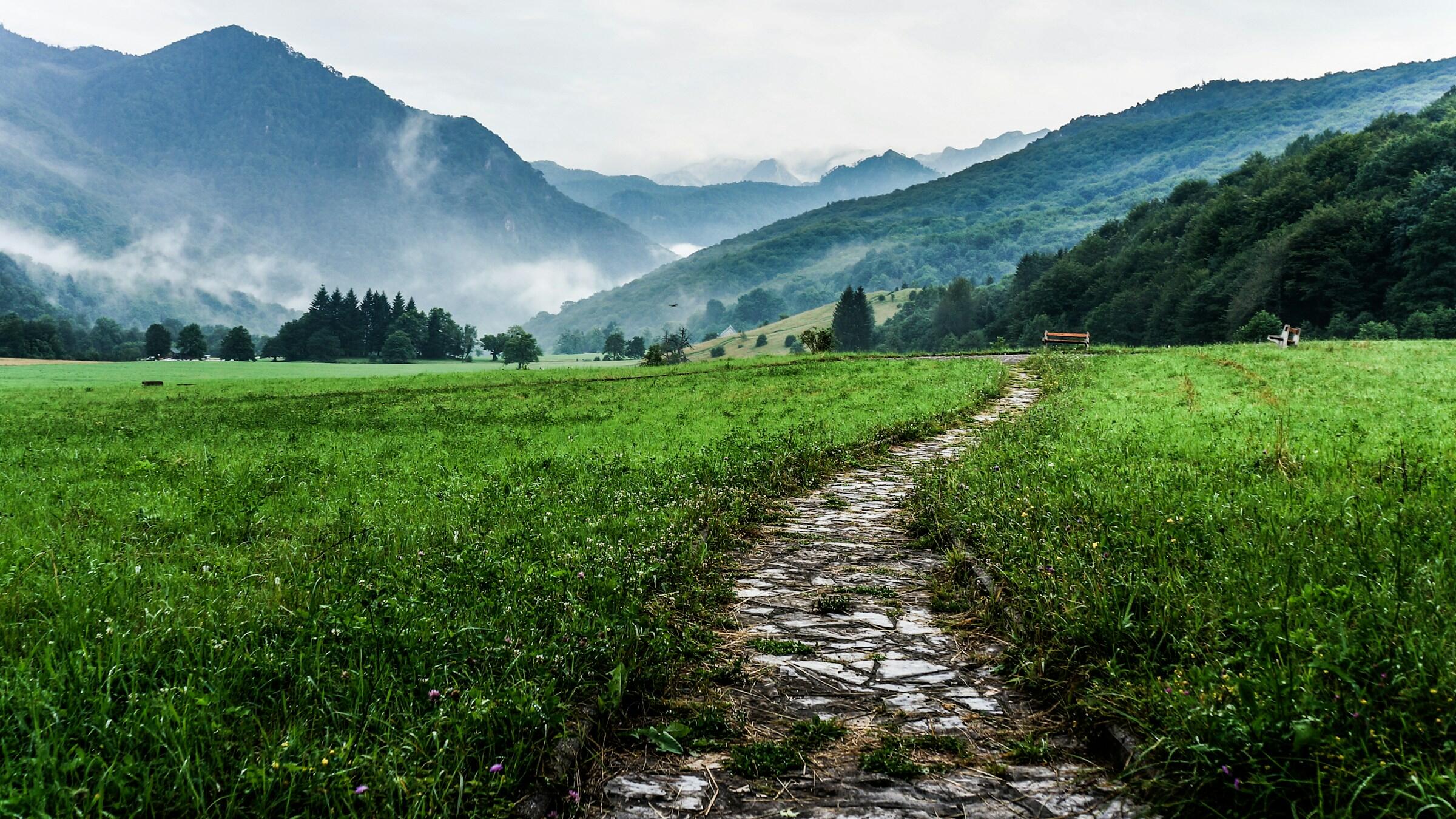 Ein Weg führt duch eine Wiese in eine vernebelte Berglandschaft.