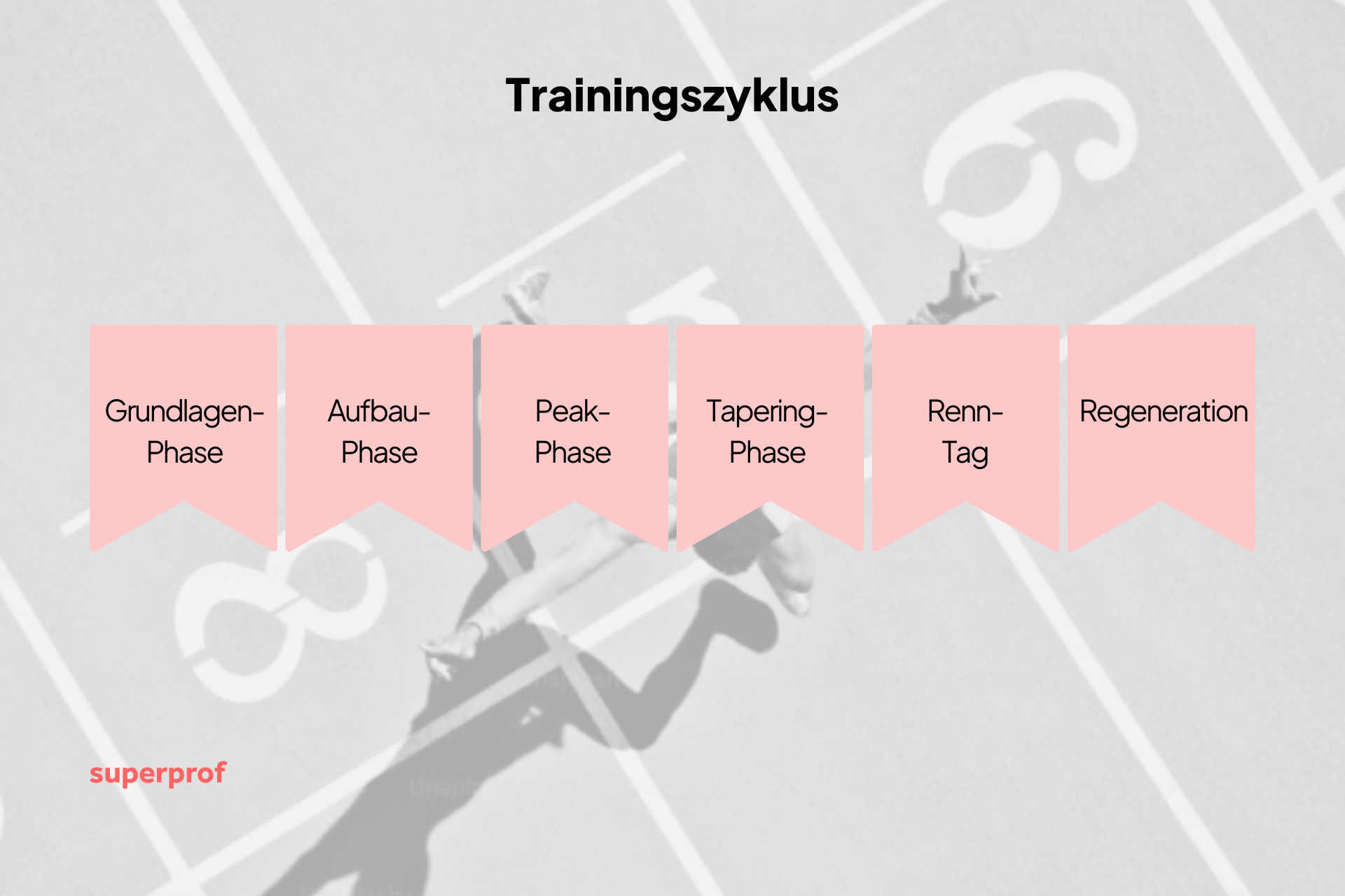 Grafik eines typischen Trainingszyklus mit sechs Phasen von den Grundlagen bis zur Erholung nach dem Lauf.