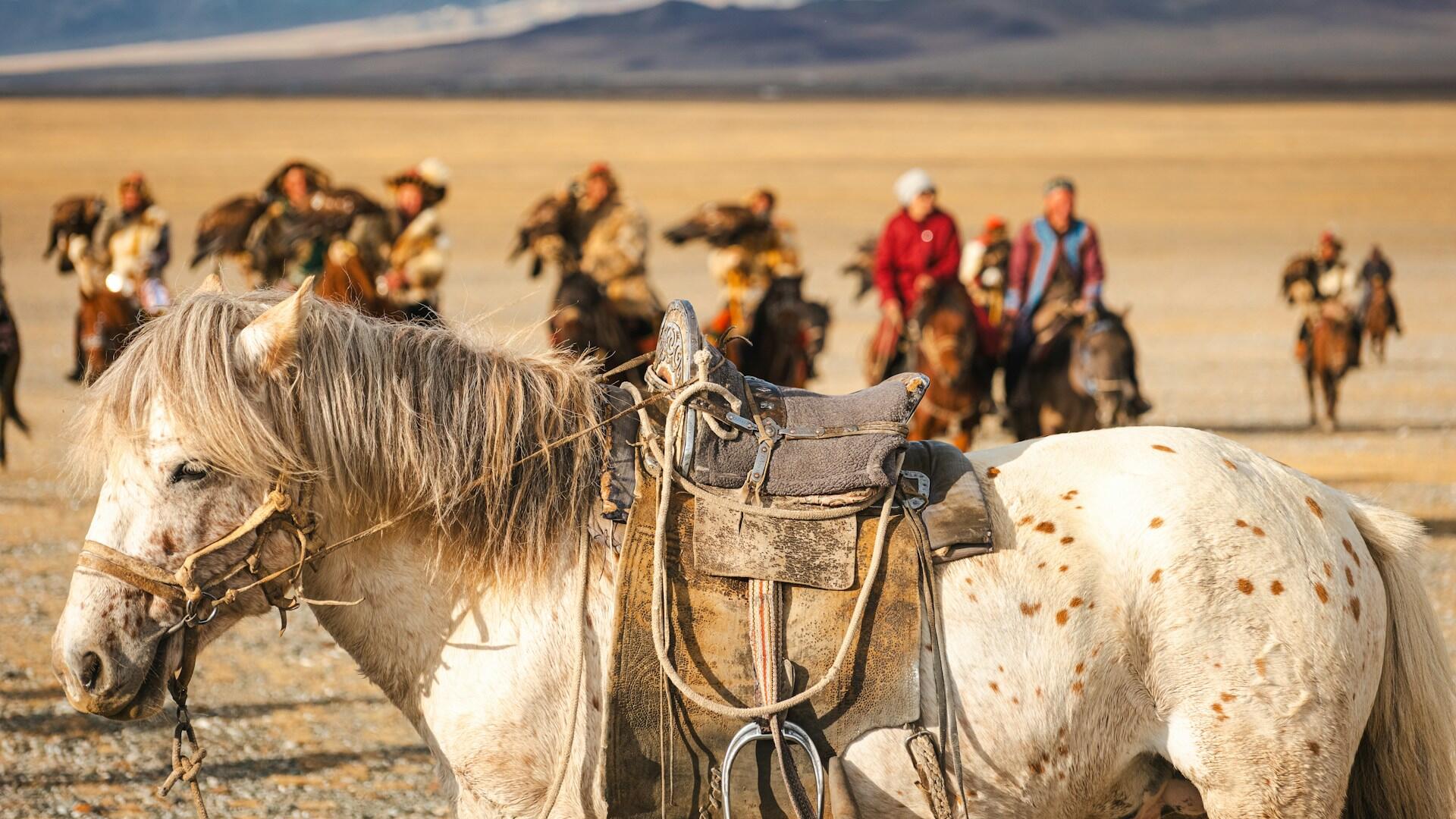 Gesatteltes Pferd im Vordergrund und dahinter eine Gruppe von Reitern auf Pferden.