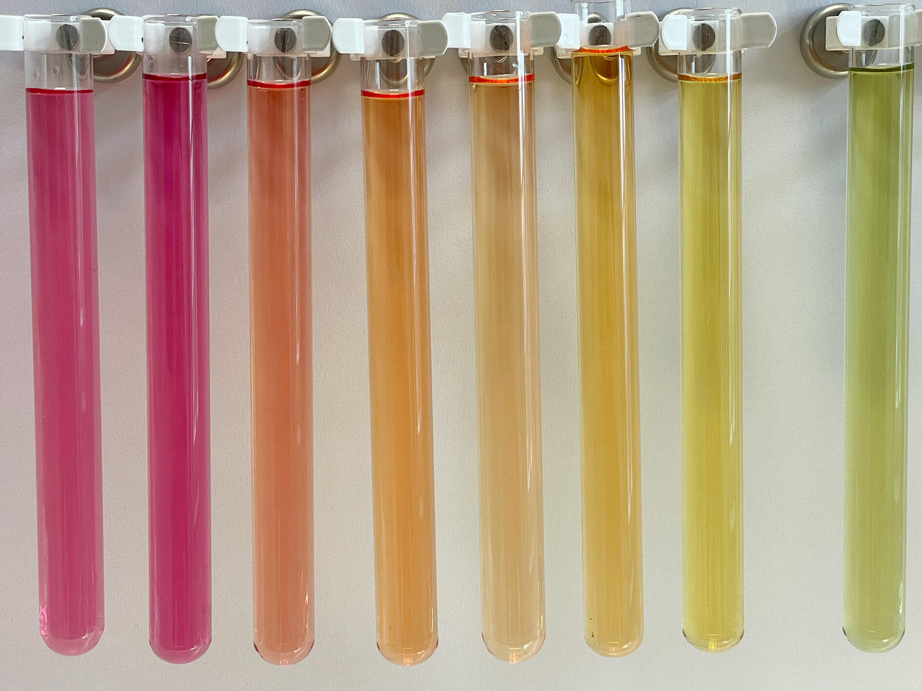 Einige bunte Reagenzgläser.
