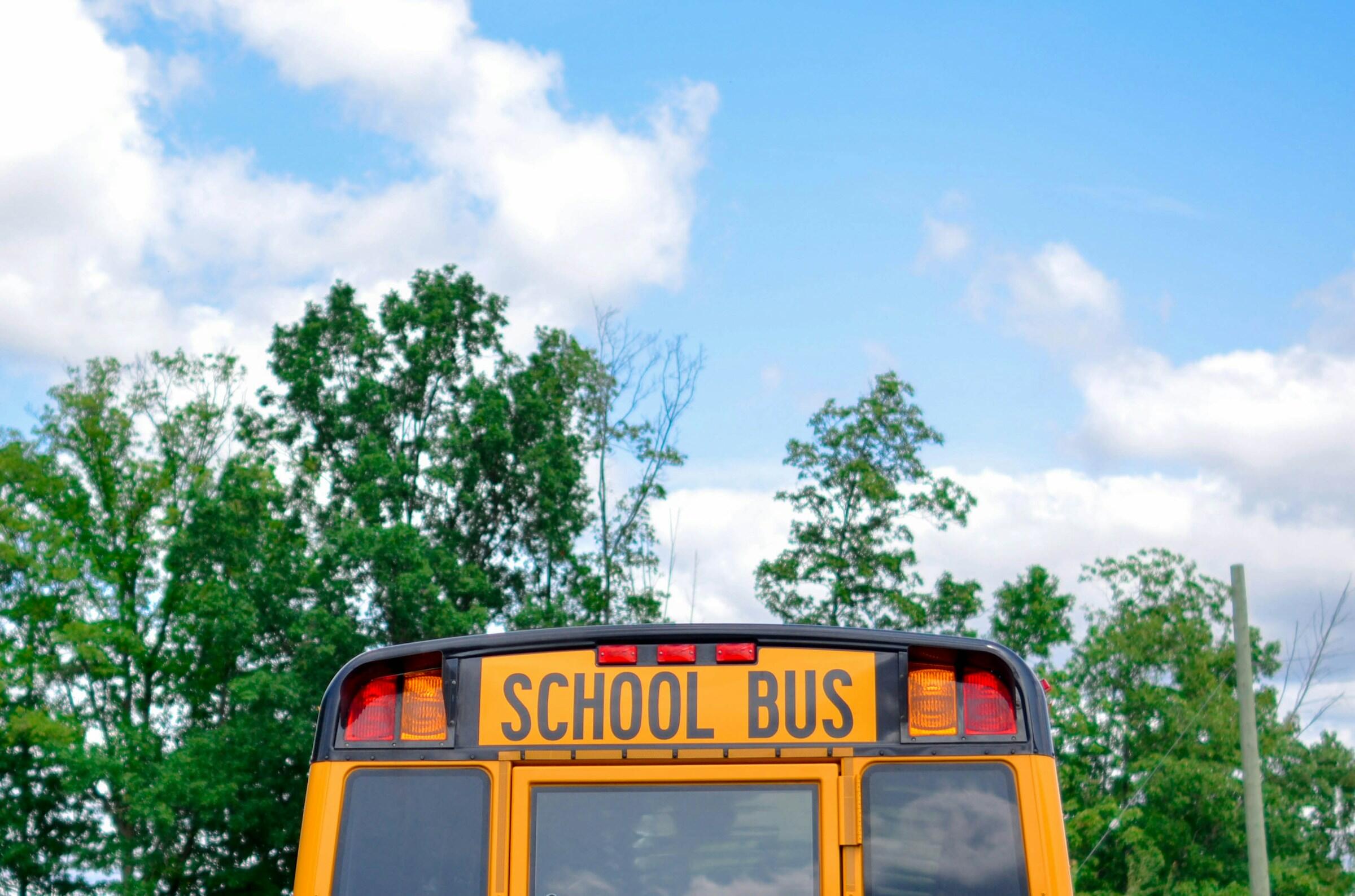 Ein gelber Schulbus von hinten.