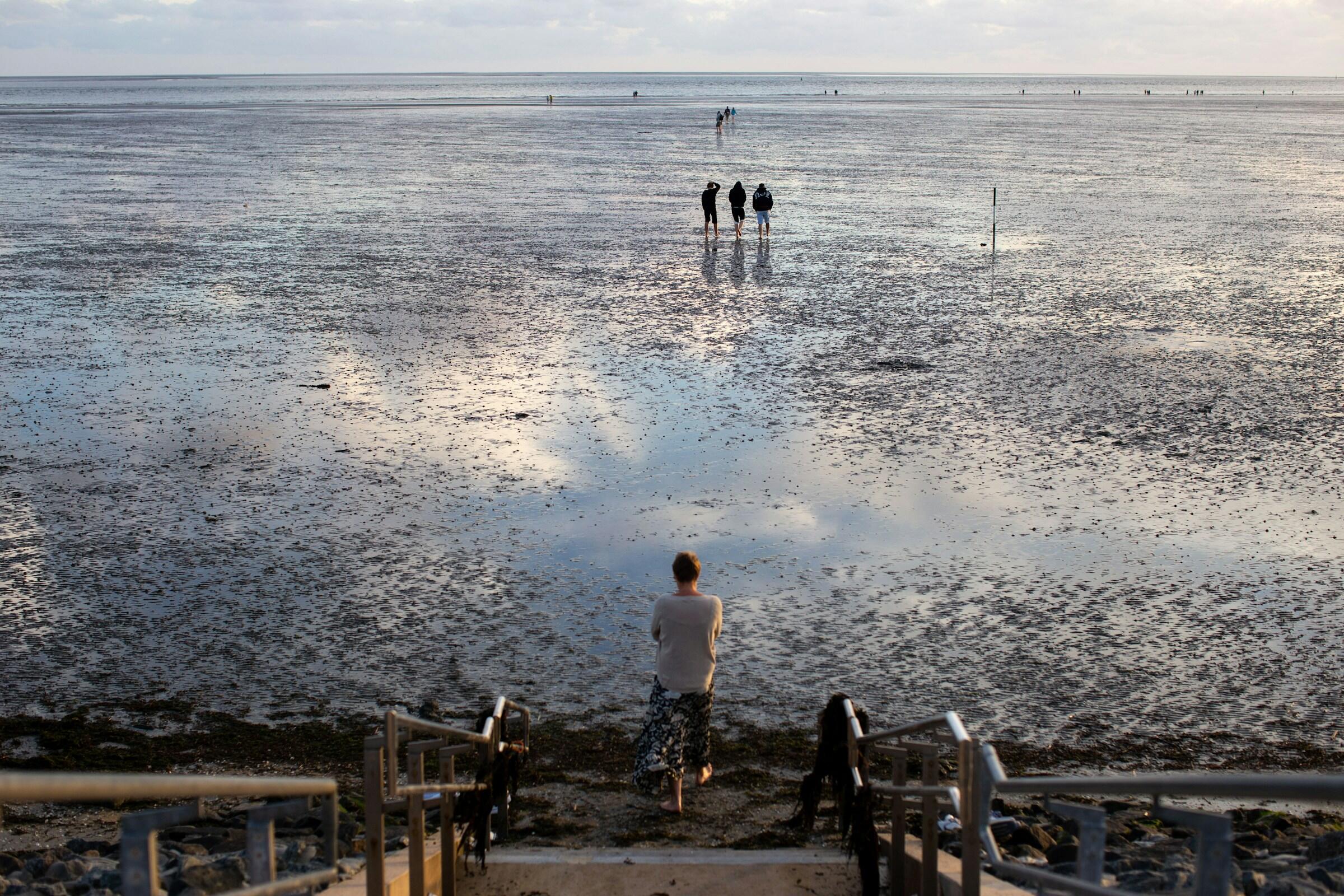 Das Wattenmeer.