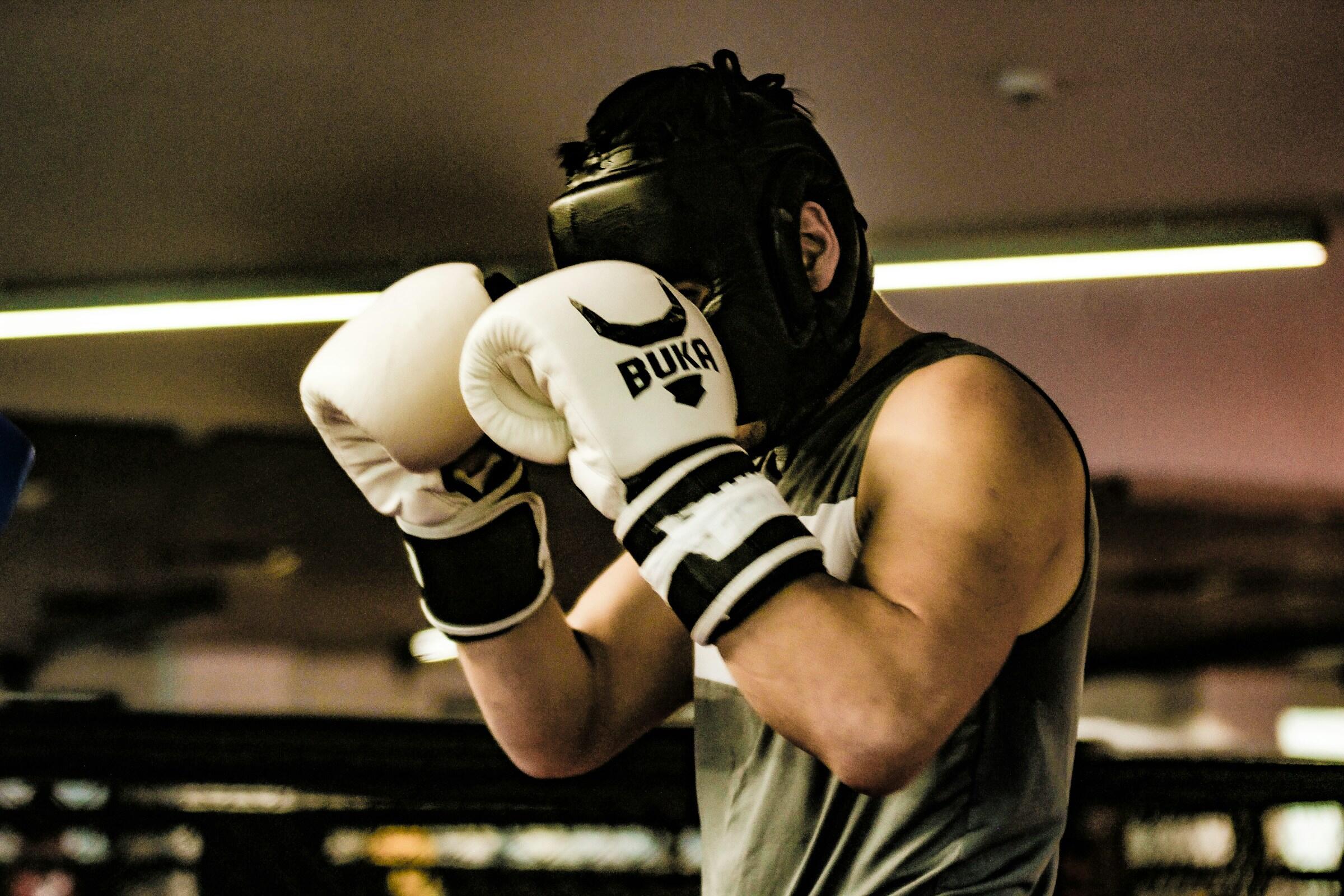 Ein Boxer in Kampfstellung