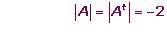 Explicaciones y ejemplos de determinantes - 23