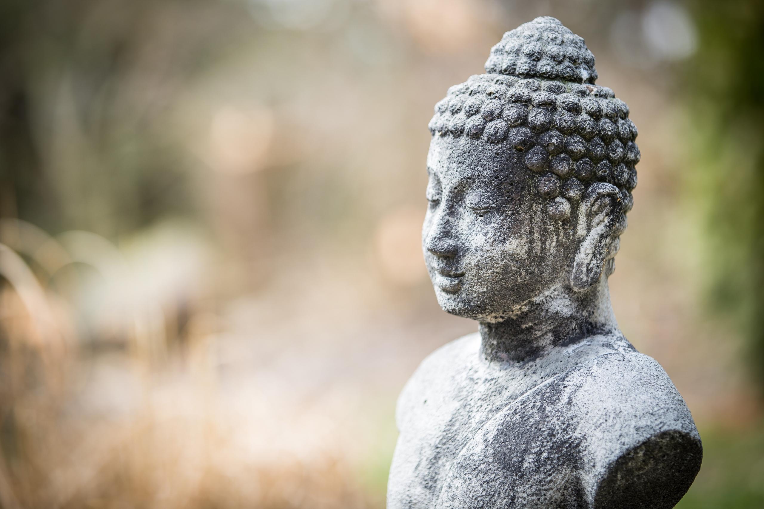 Hvad er yoga spørger du måske, og det handler om ro og meditation som denne indiske statue udtrykker