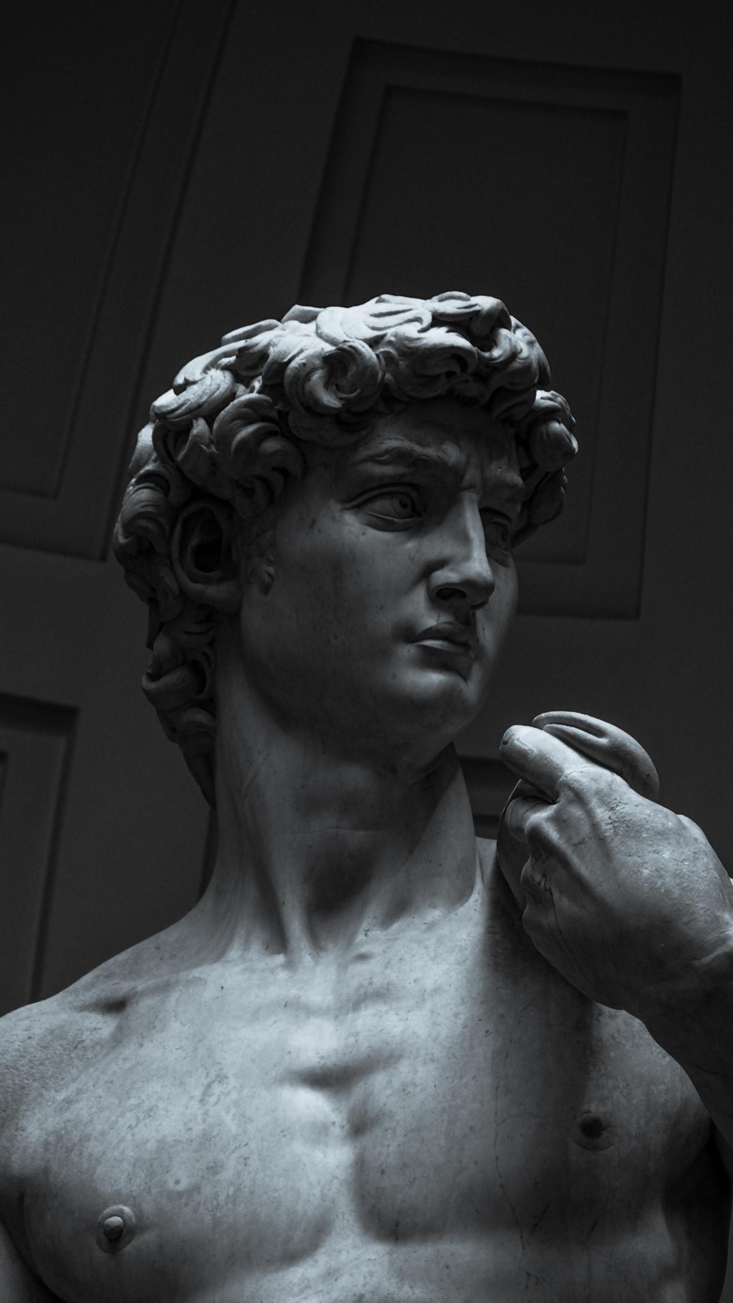 Michelangelo's david statue