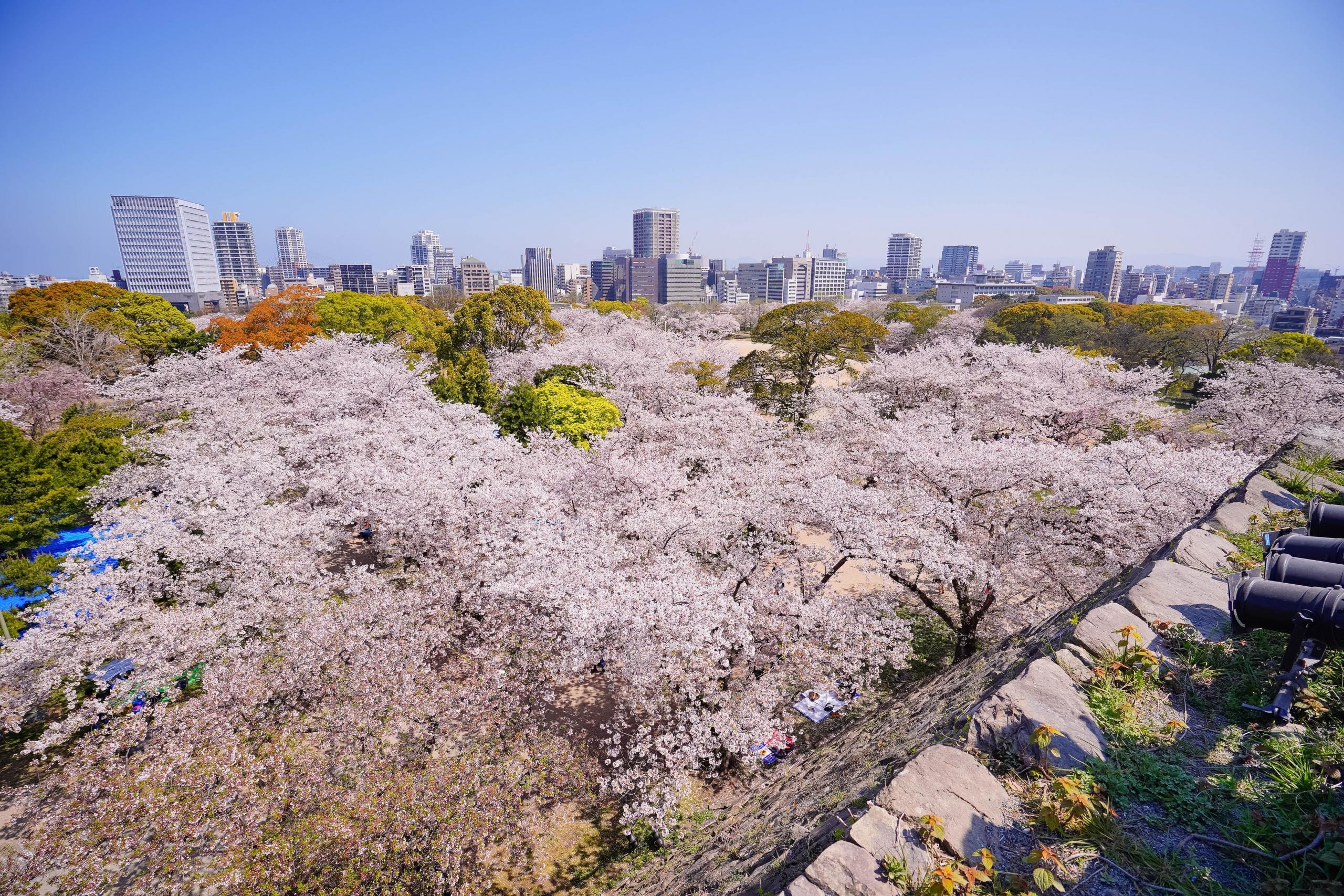 Japansk by