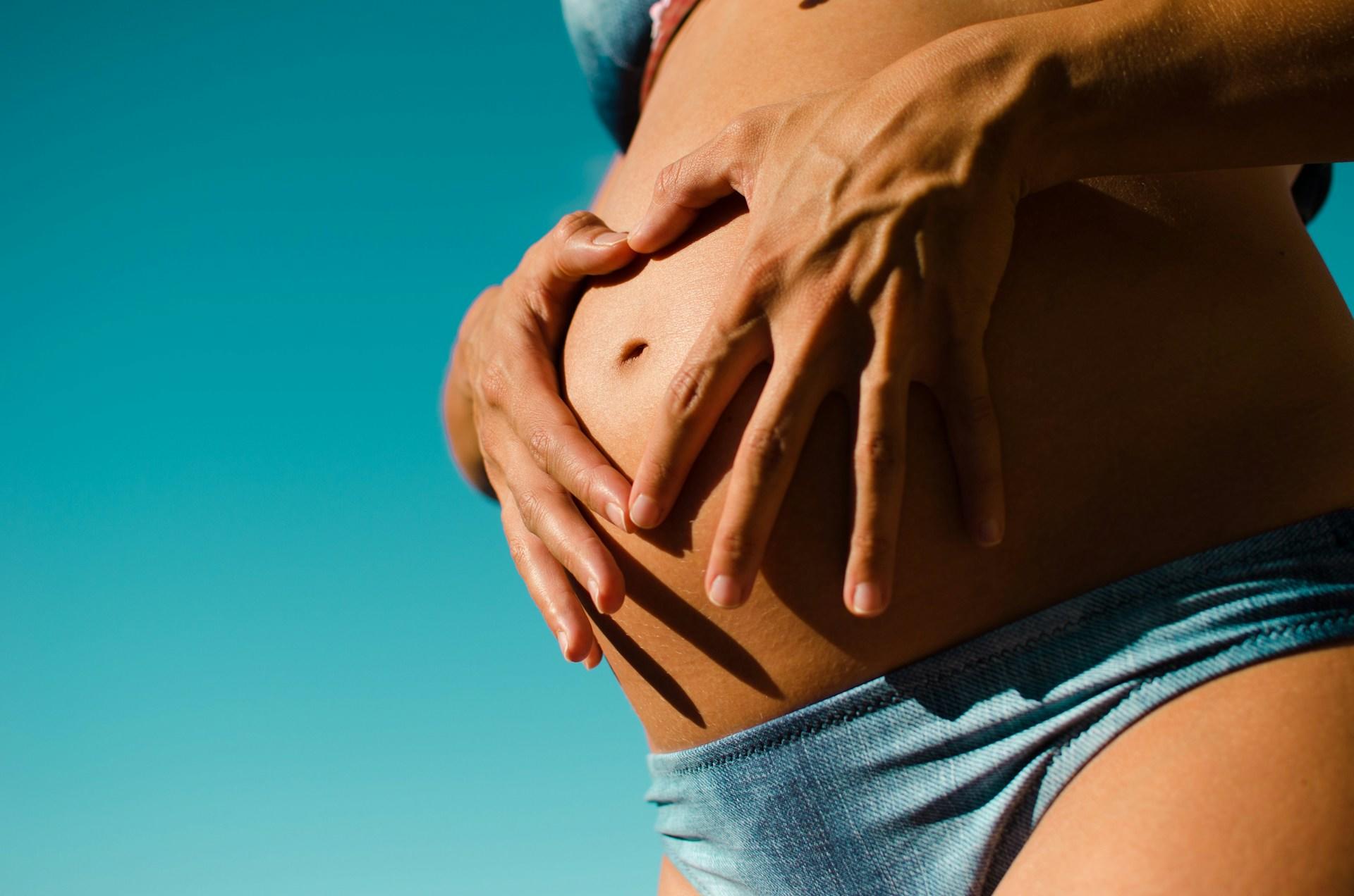 Gravid