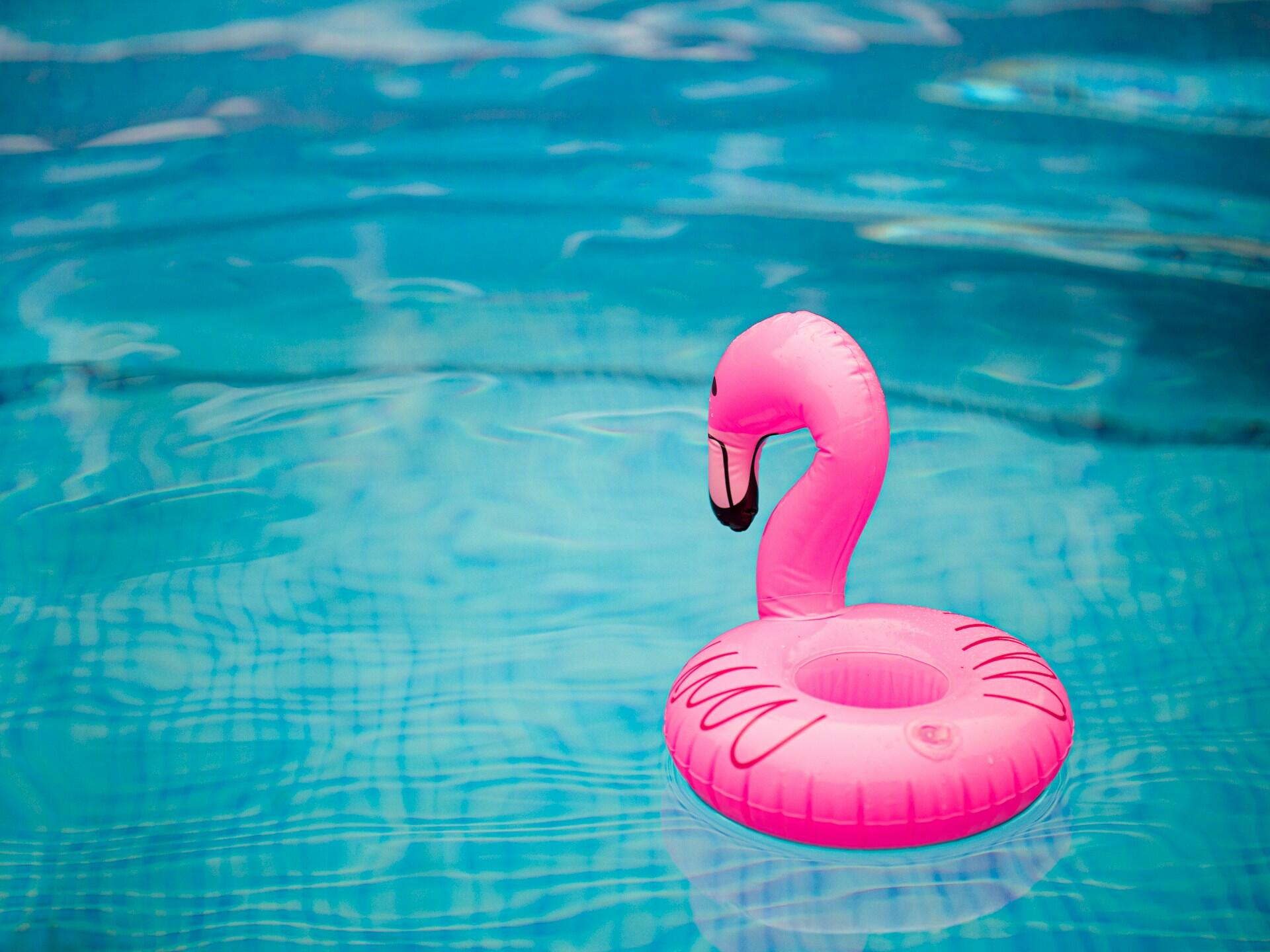 flamingo i pool