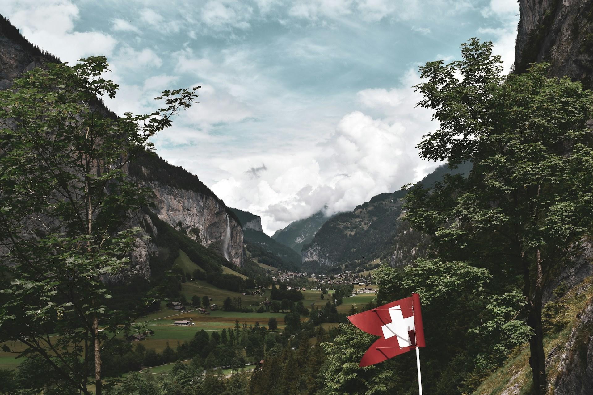 Landesflagge im Grünen