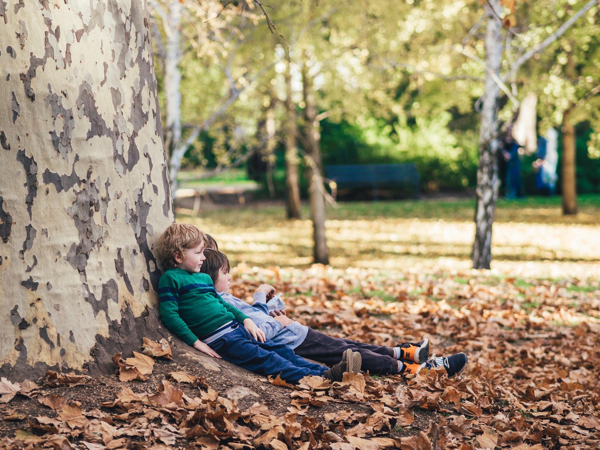 Kinder unter einem Baum auf dem Boden.