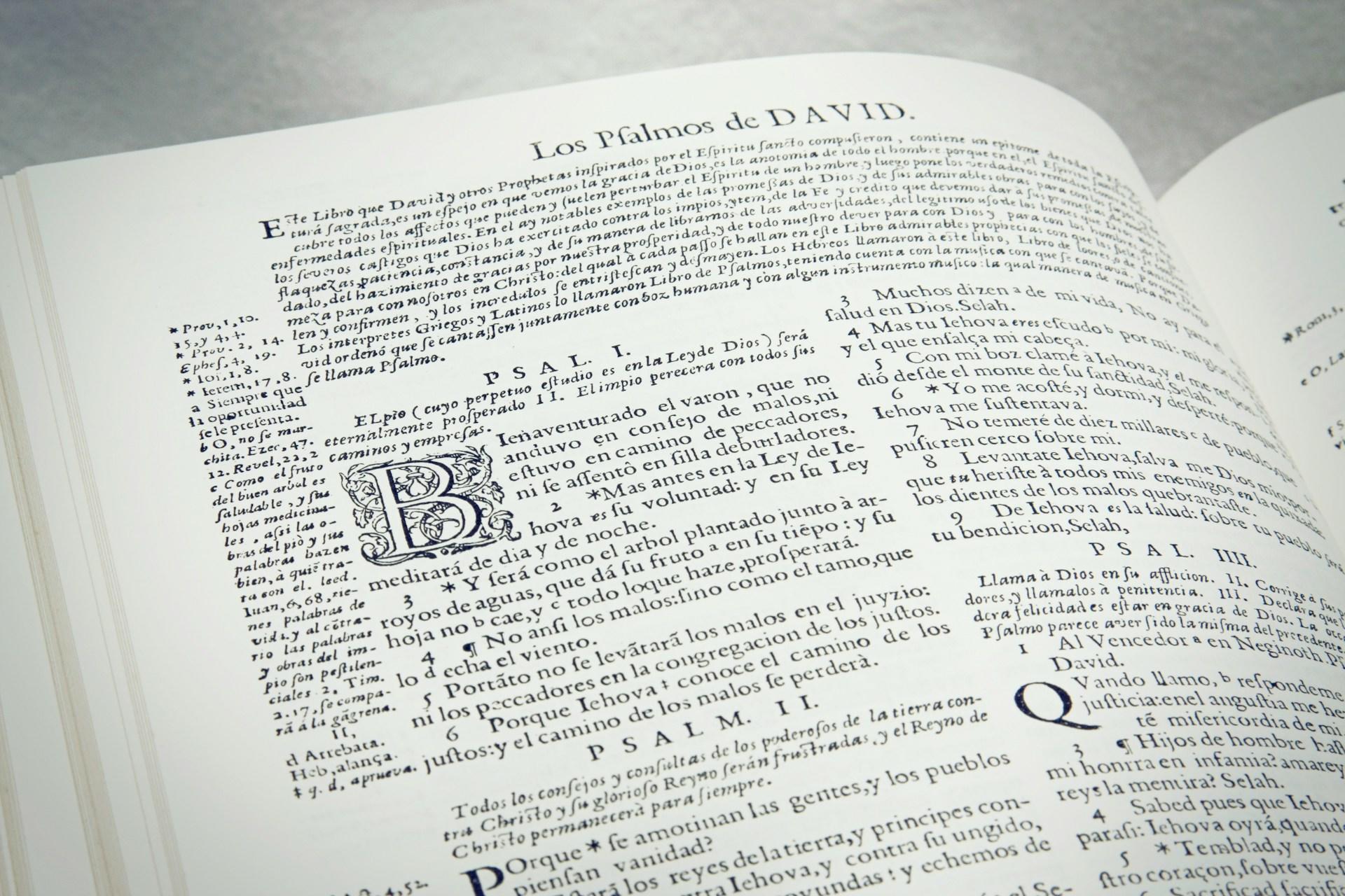 Aufgeschlagenes Buch mit bedruckter Seite.
