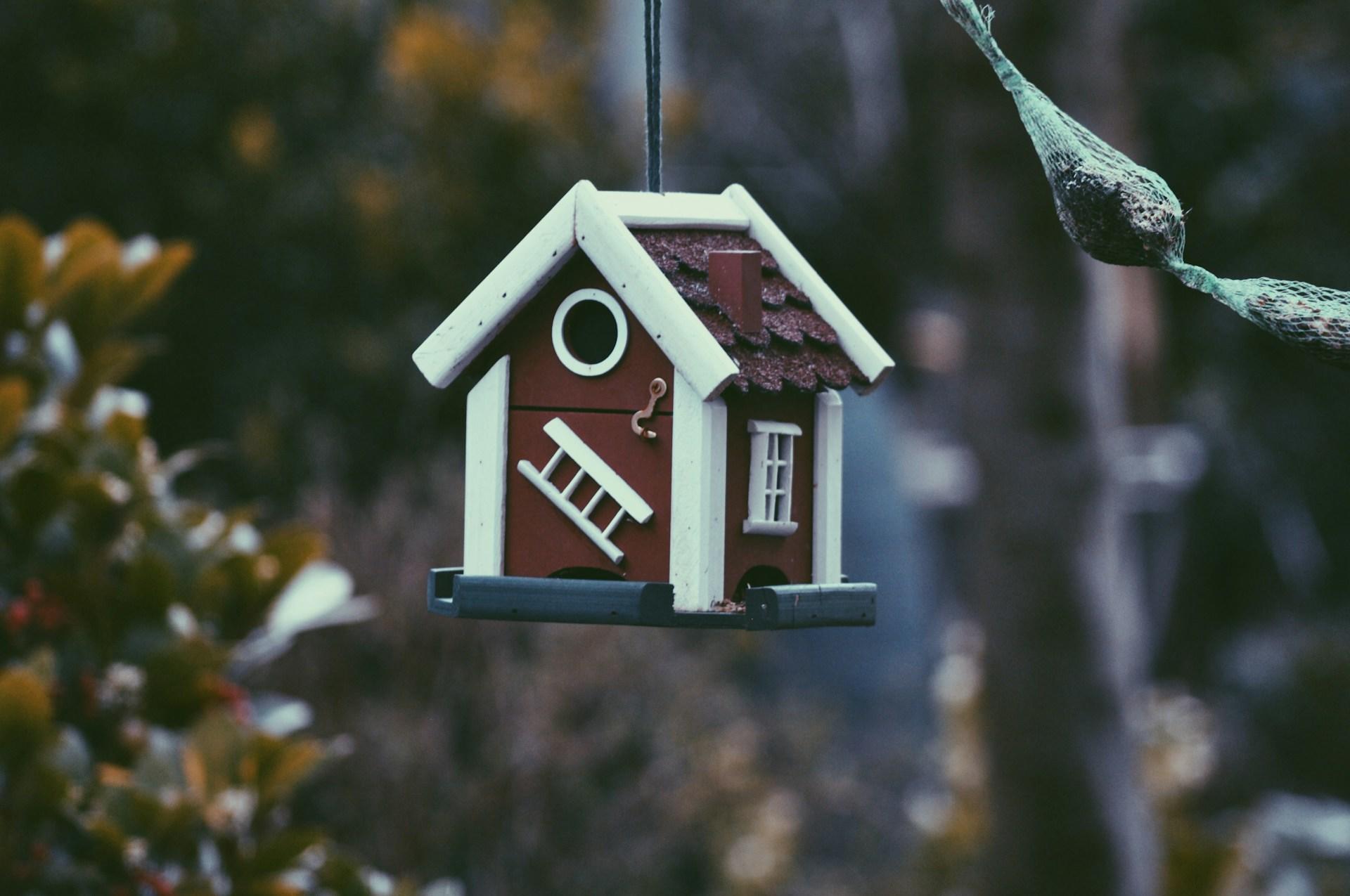 Ein Vogelhaus hängt an einem Baum