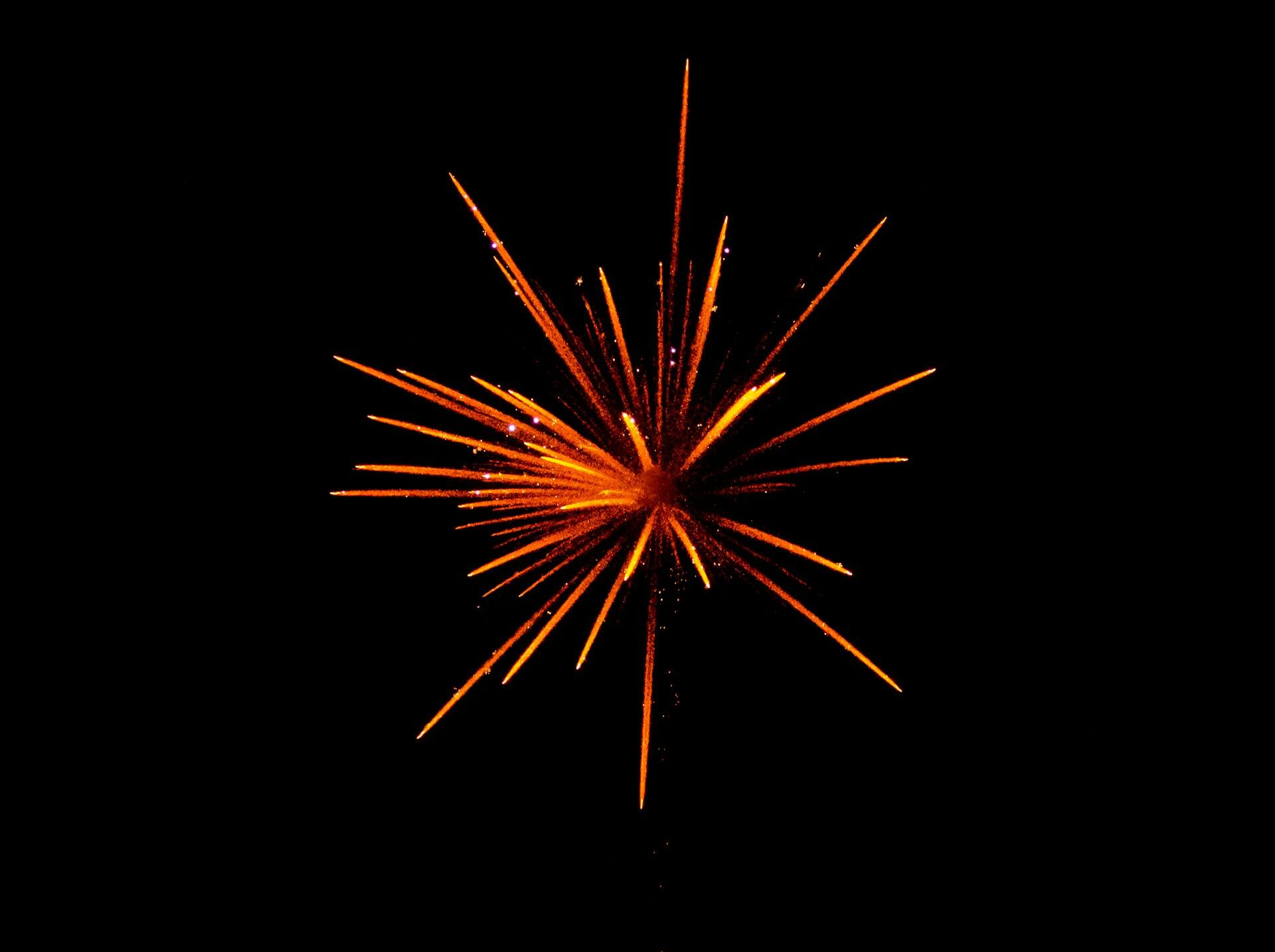 Ein explodierendes Feuerwerk am Nachthimmel