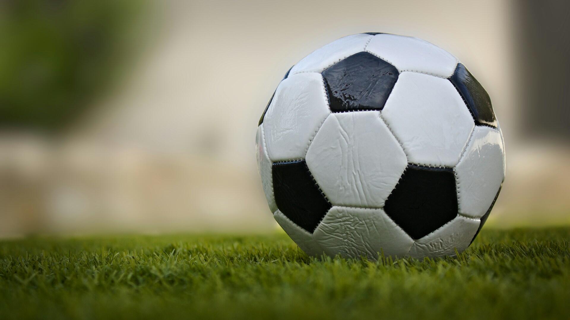 Ein Fussball auf dem Rasen