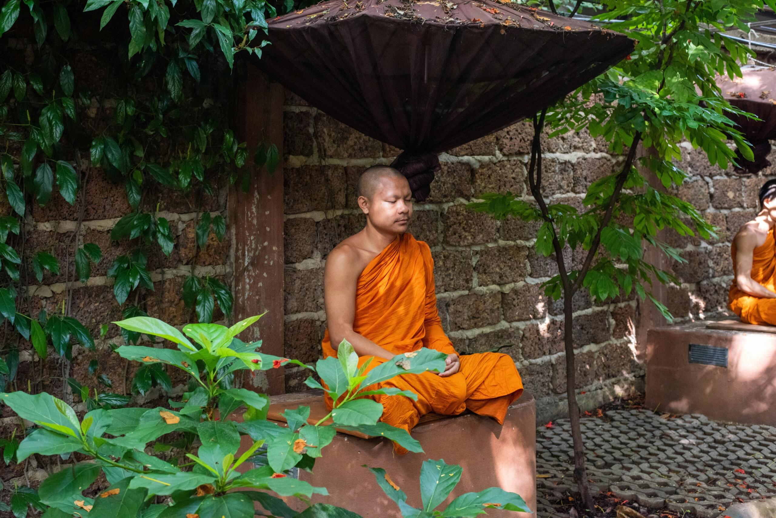 Bhikkhu ehk budistlik monk mediteerimas vaikses looduskeskkonnas