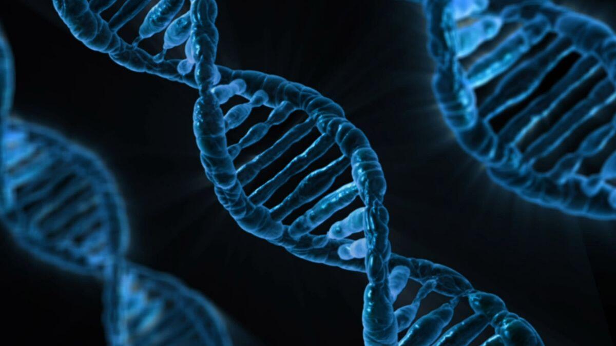 DNA kaksikheeliksi mudel