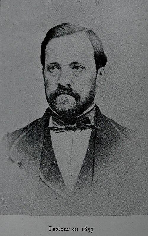 Louis Pasteuri portree