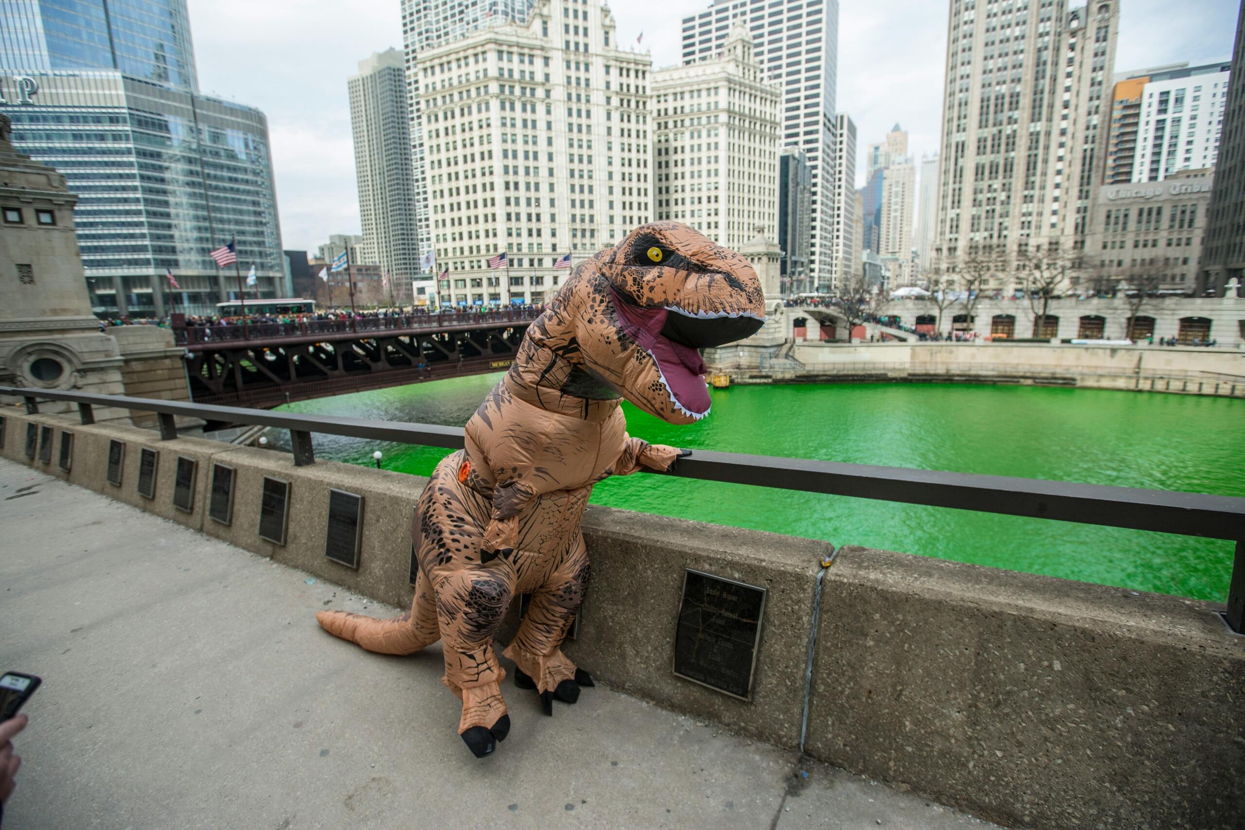 Dinosauruse kostüümis meelelahutaja seisab roheliseks värvitud Chicago jõe ääres St. Patricku päeval