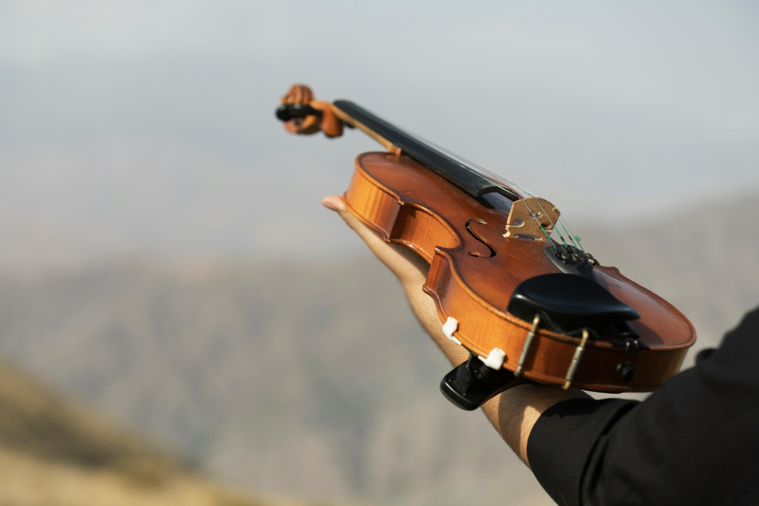 viiul toetab käevarrele uduse mäestiku taustal