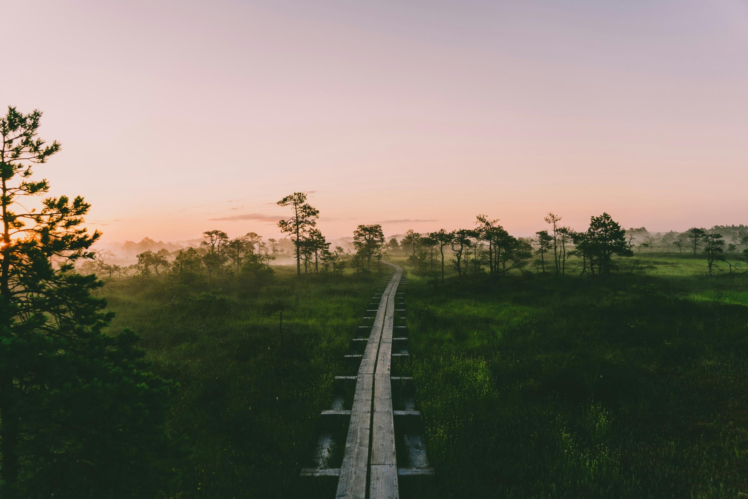 Laudtee rabas hommikuse päikesetõusu ajal