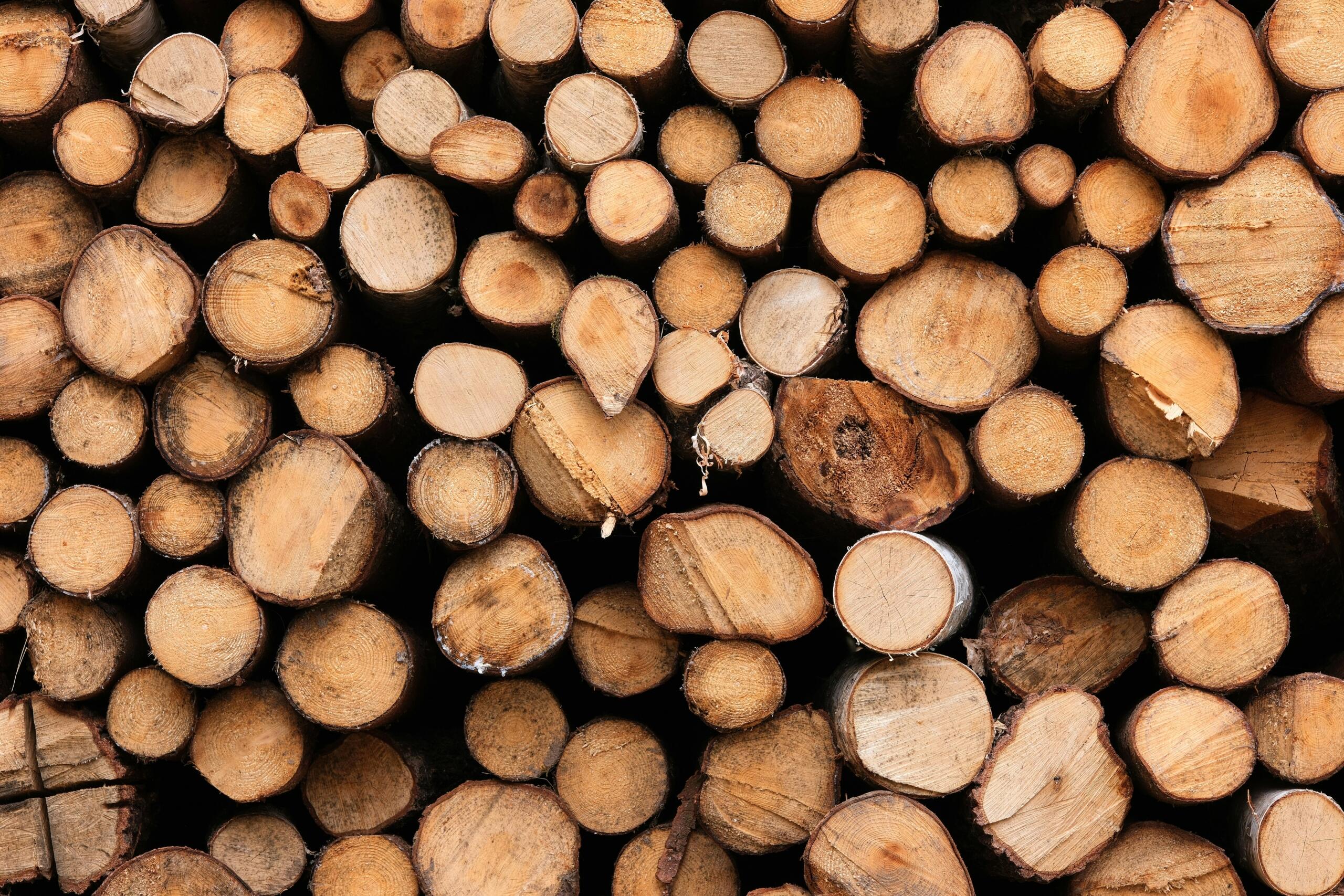 Ritta laotud ja eri mõõdus saetud puutüved lähivaates