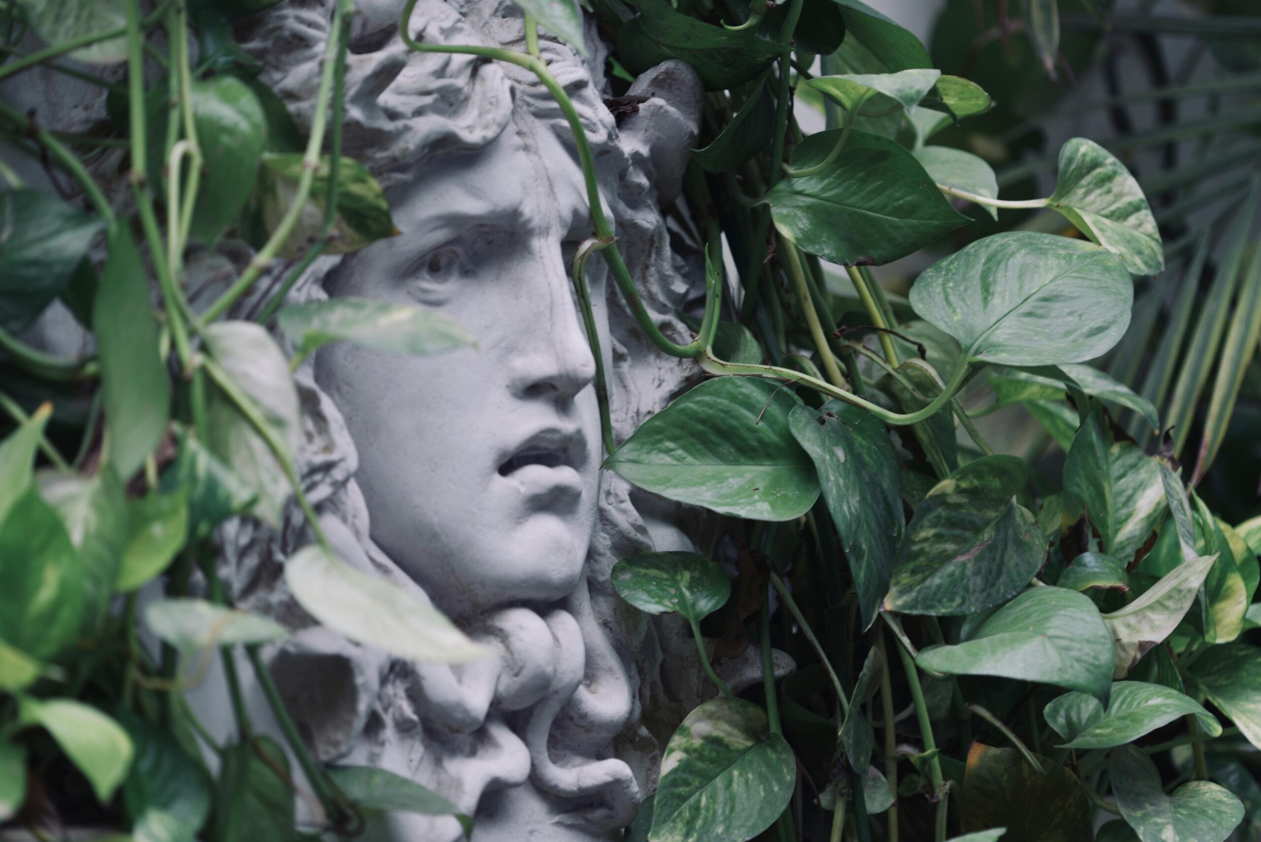 roheliste lehtede vahelt paistab Medusa näoga klassikaline skulptuur