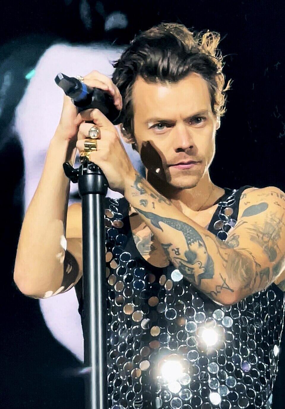 Harry Styles esinemas