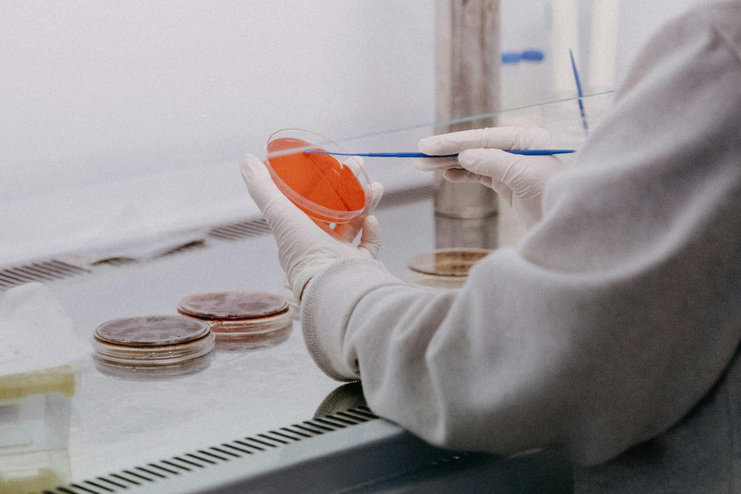 Laboritöötaja uurib Petri tassil proovi, mis illustreerib kvalitatiivset analüüsi laboris