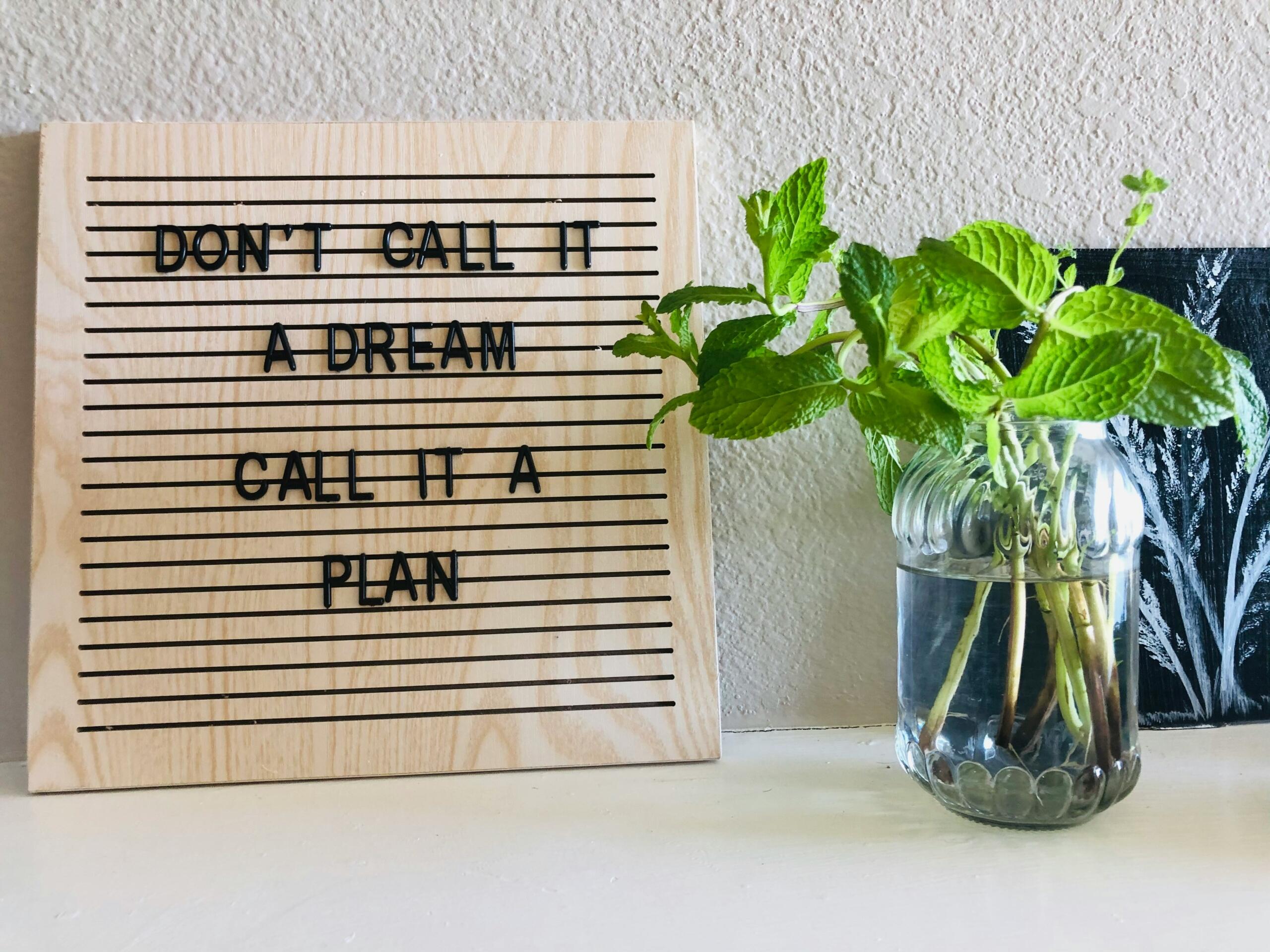 Puidust tahvlil on ingliskeelne tekst „Don’t call it a dream, call it a plan”, kõrval seisab klaaspurgis roheline taim.