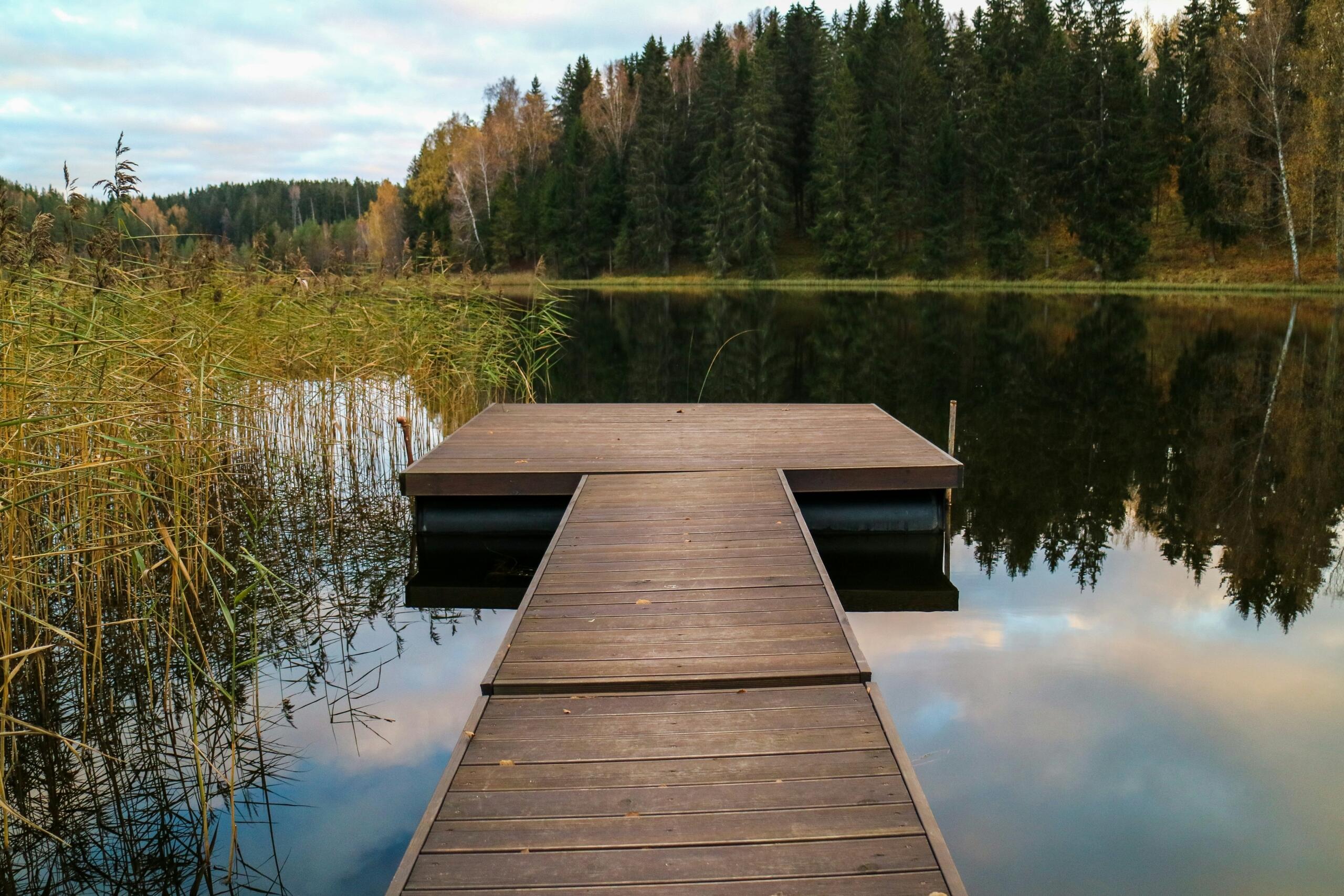 Puidust ujumissild ulatub rahuliku metsajärve kohale, mille kaldal kasvavad pilliroog ja tihe okaspuumets.