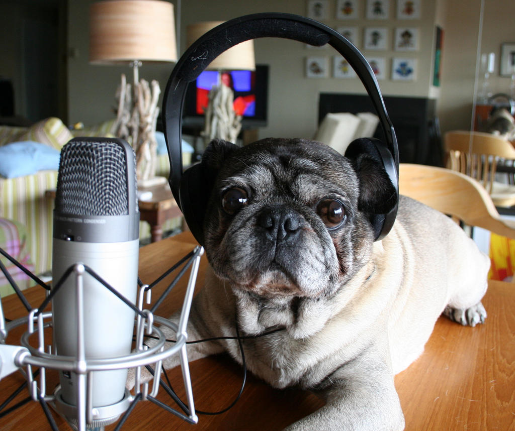 Existen distintos niveles a la hora de elegir un podcast. Escoge el que más se ajuste a ti.