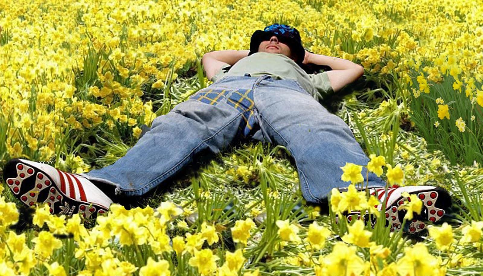 consejos aprobar examen lengua