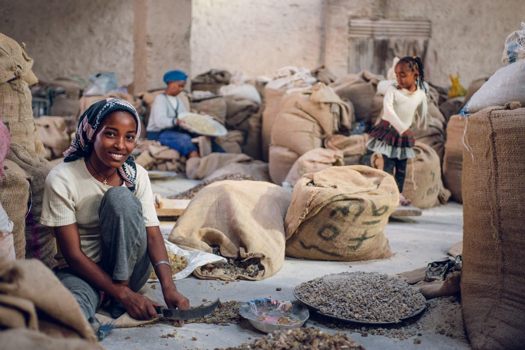 Muchos millones de personas hablan árabe.