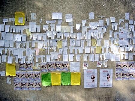 Darse a conocer como profesor de italiano.