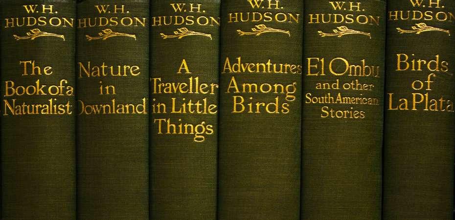 Ser profesor de lenguas extranjeras: inglés.