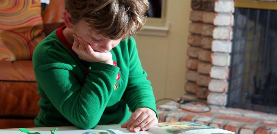 ¿Necesitas clases de apoyo escolar?