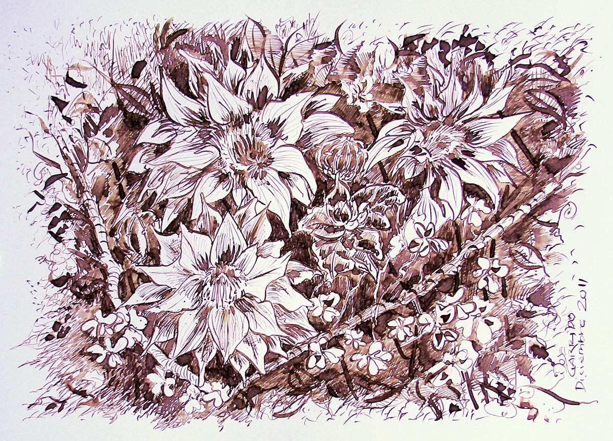 traza tu dibujo gracias a la plumilla
