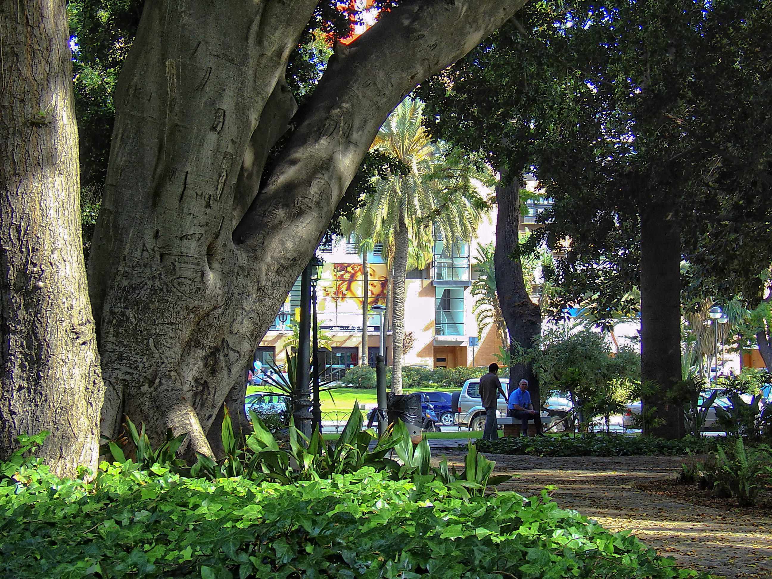 aprende chino en el centro de cultura asiatico