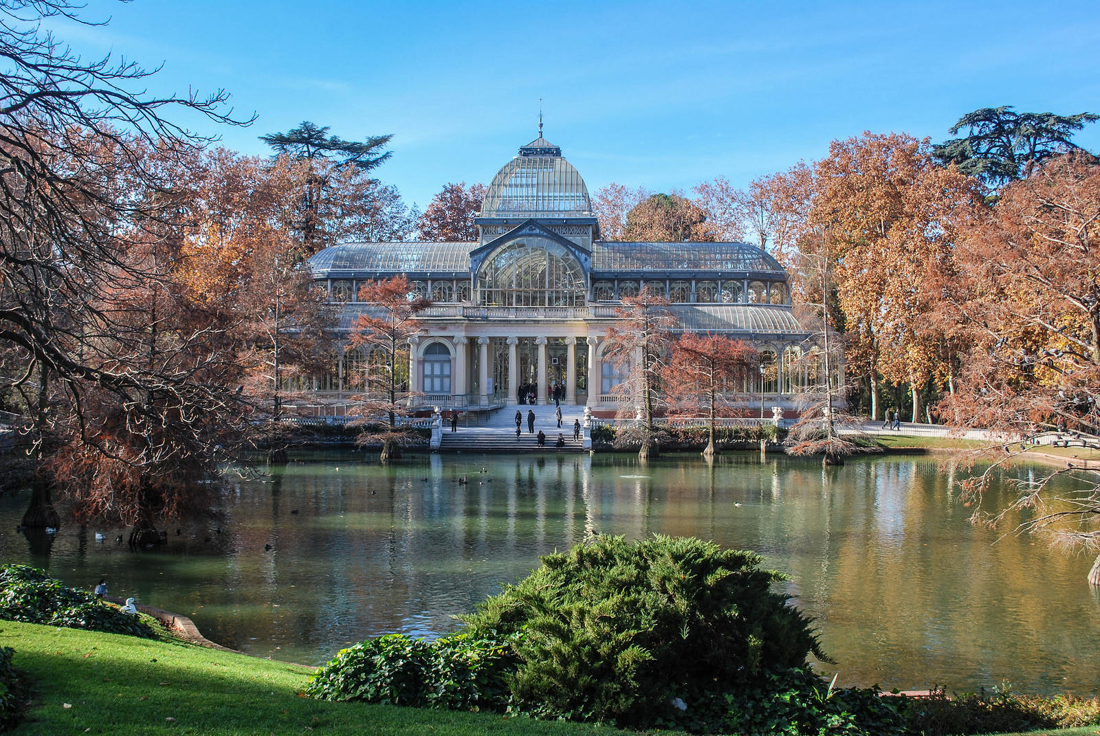 dibuja relajado en el retiro de madrid