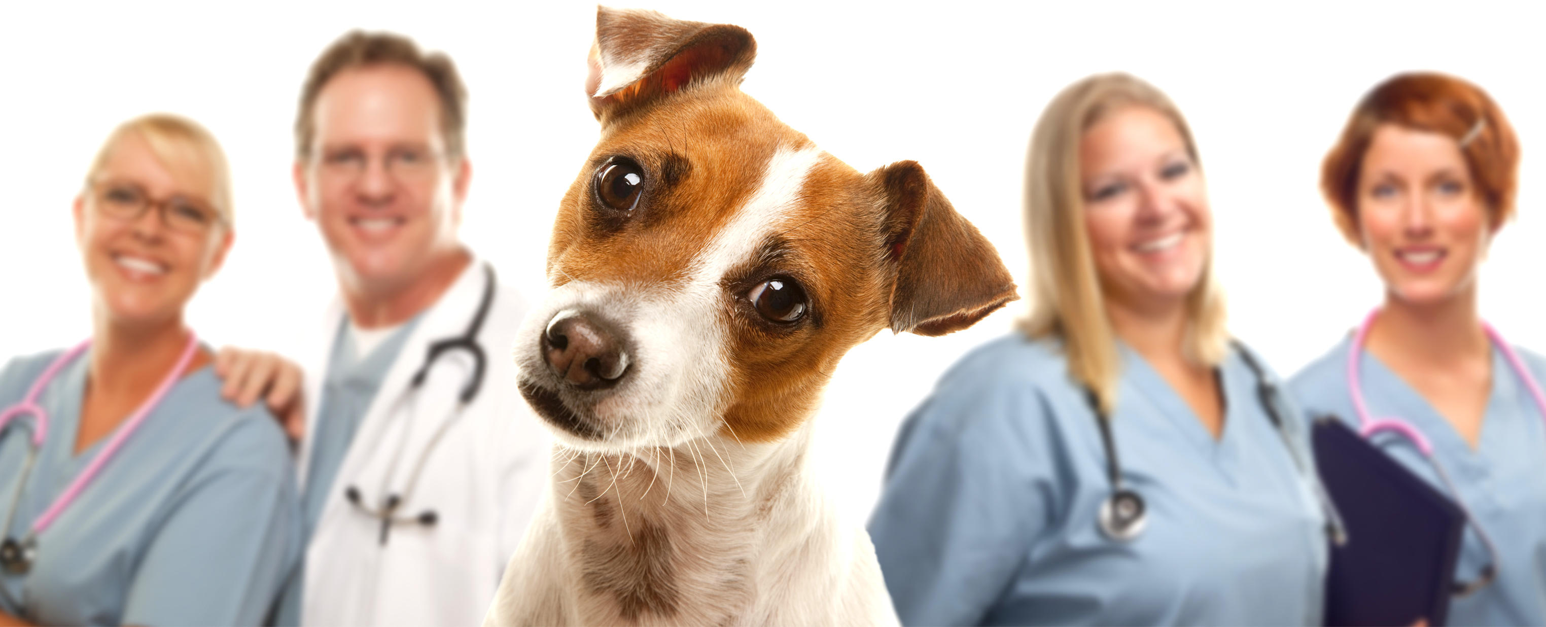 Mejores universidades alemanas