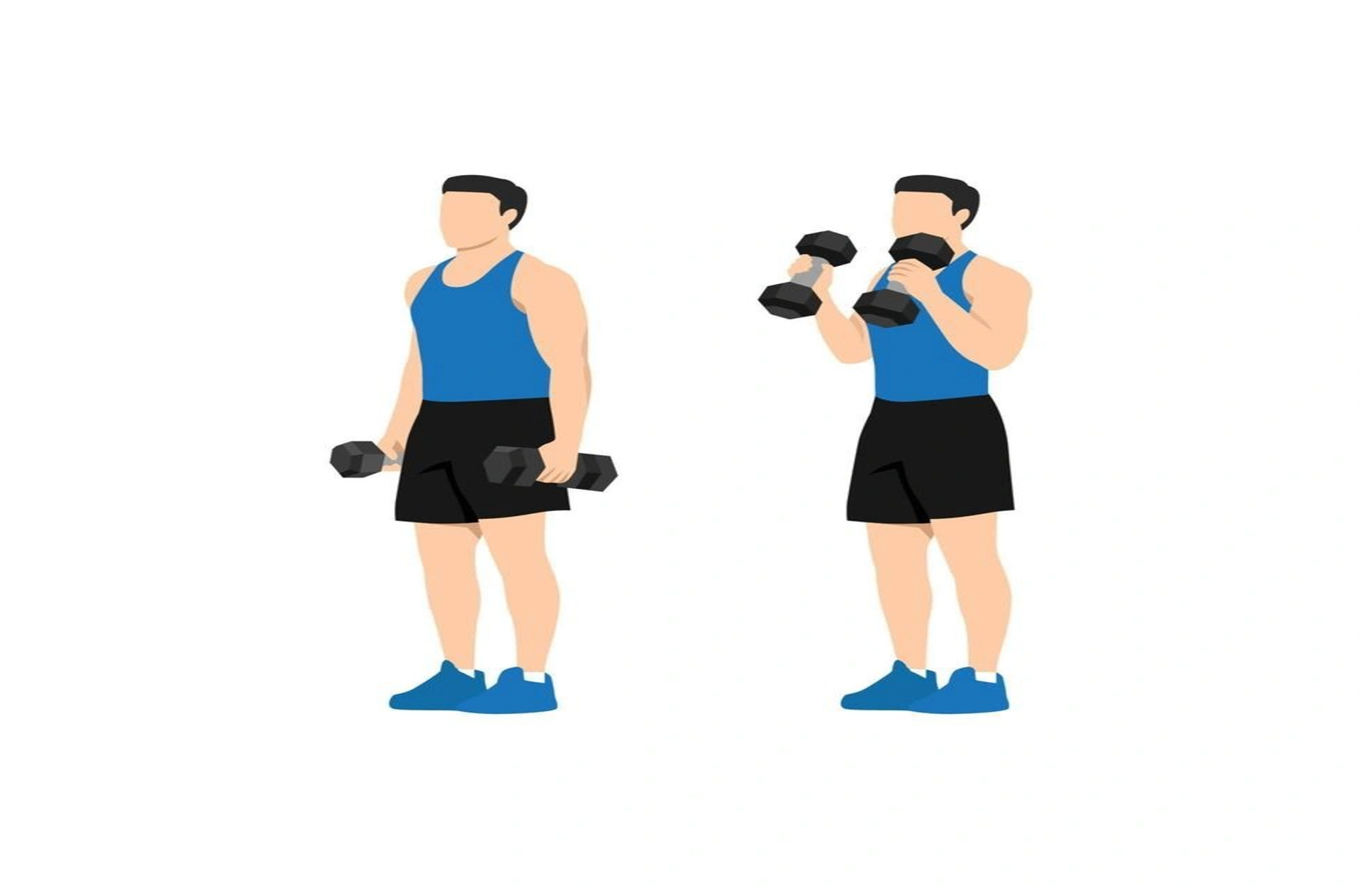 Ilustración de un hombre con una camiseta sin mangas azul y pantalones cortos negros realizando flexiones de bíceps con mancuernas, con los brazos bajados y levantados sobre un fondo blanco.