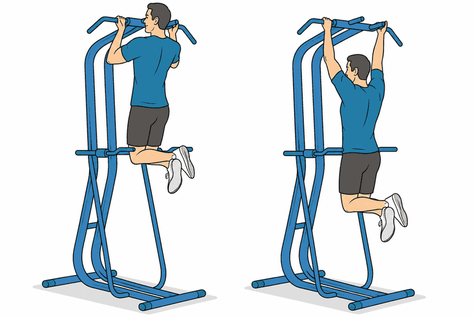 La ilustración muestra a un hombre realizando dominadas con agarre estrecho y con agarre amplio en una estructura de ejercicios azul, lo que ilustra dos ejercicios de fuerza para la parte superior del cuerpo.