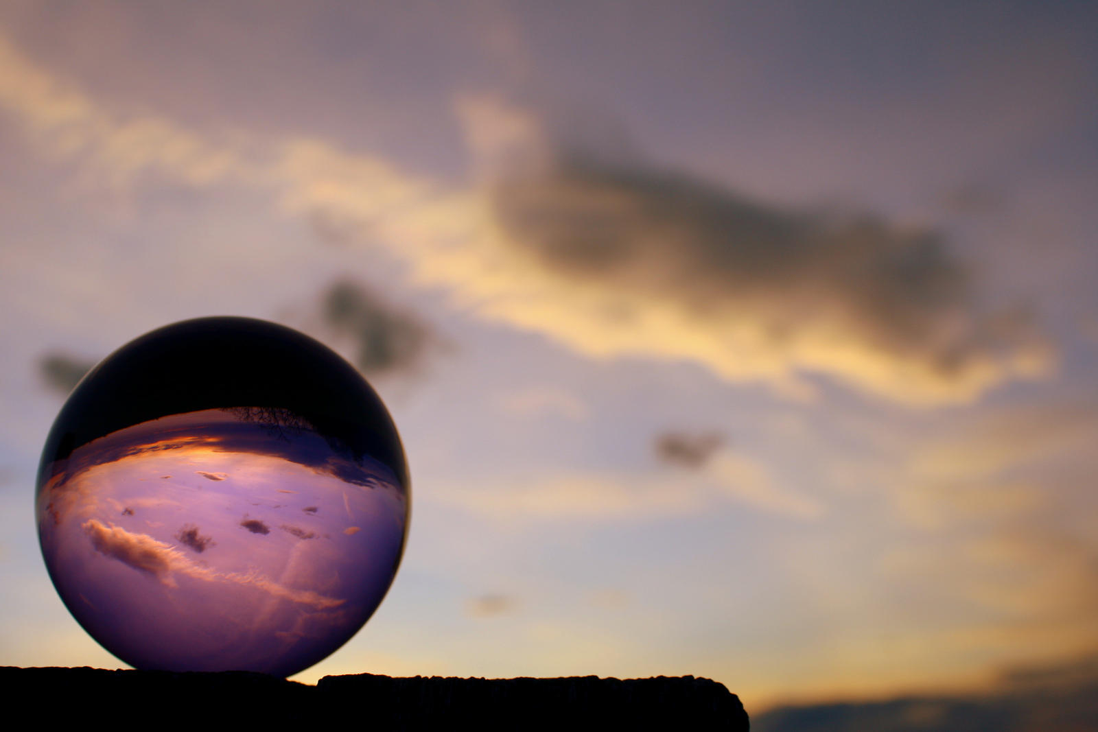 vias para ser profesor de frances