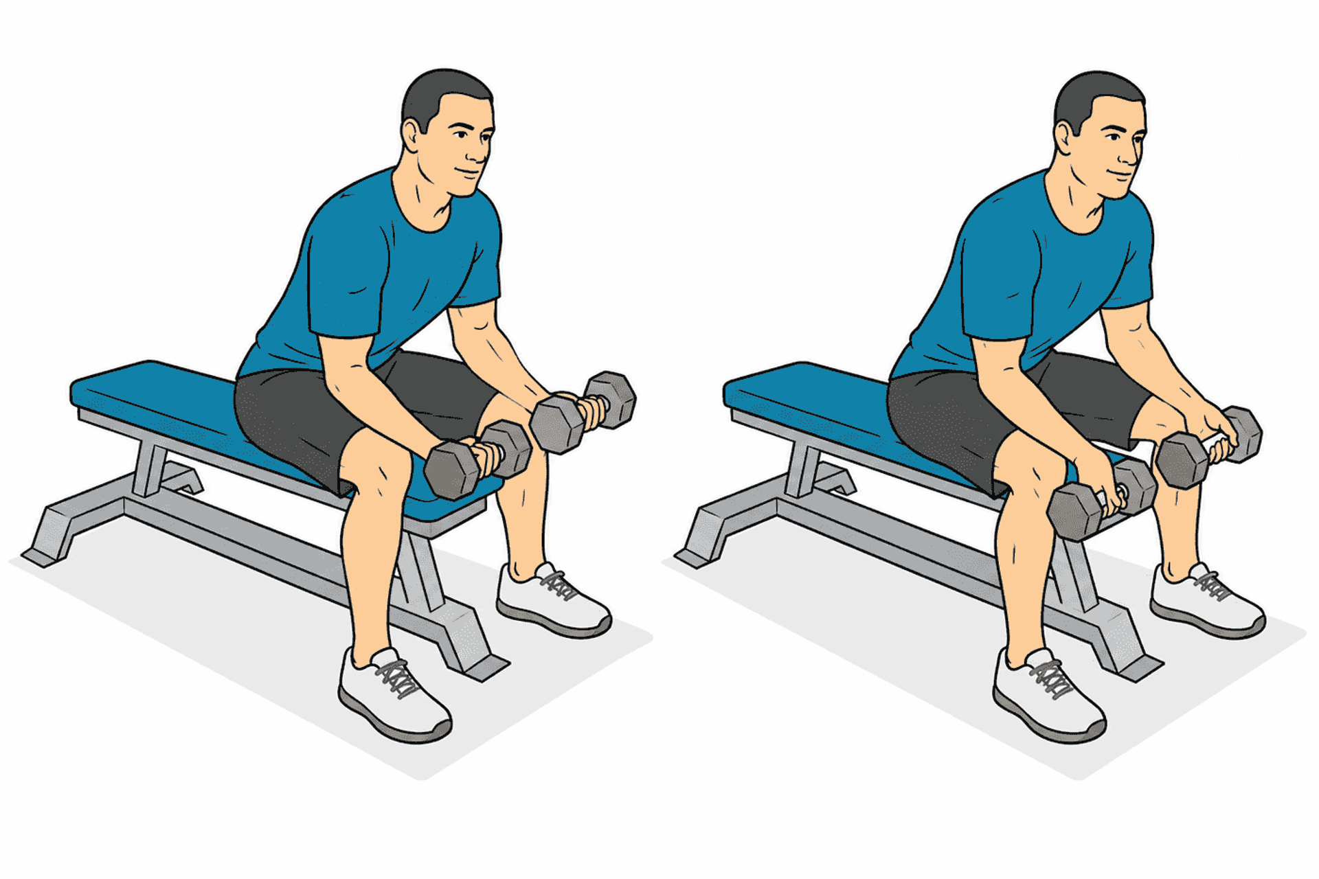 Ilustración de fitness en dos viñetas en la que aparece un hombre sentado en un banco realizando flexiones de muñeca con mancuernas, con las manos moviéndose de la posición baja a la alta; tono didáctico.