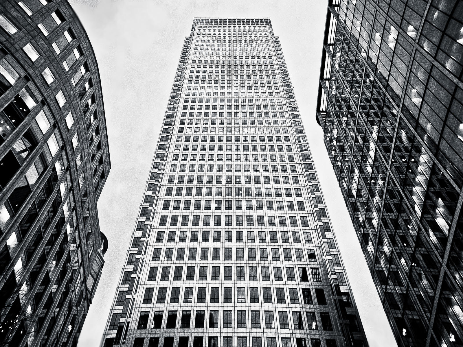 gracias a los MOOD aprender idiomas es más sencillo